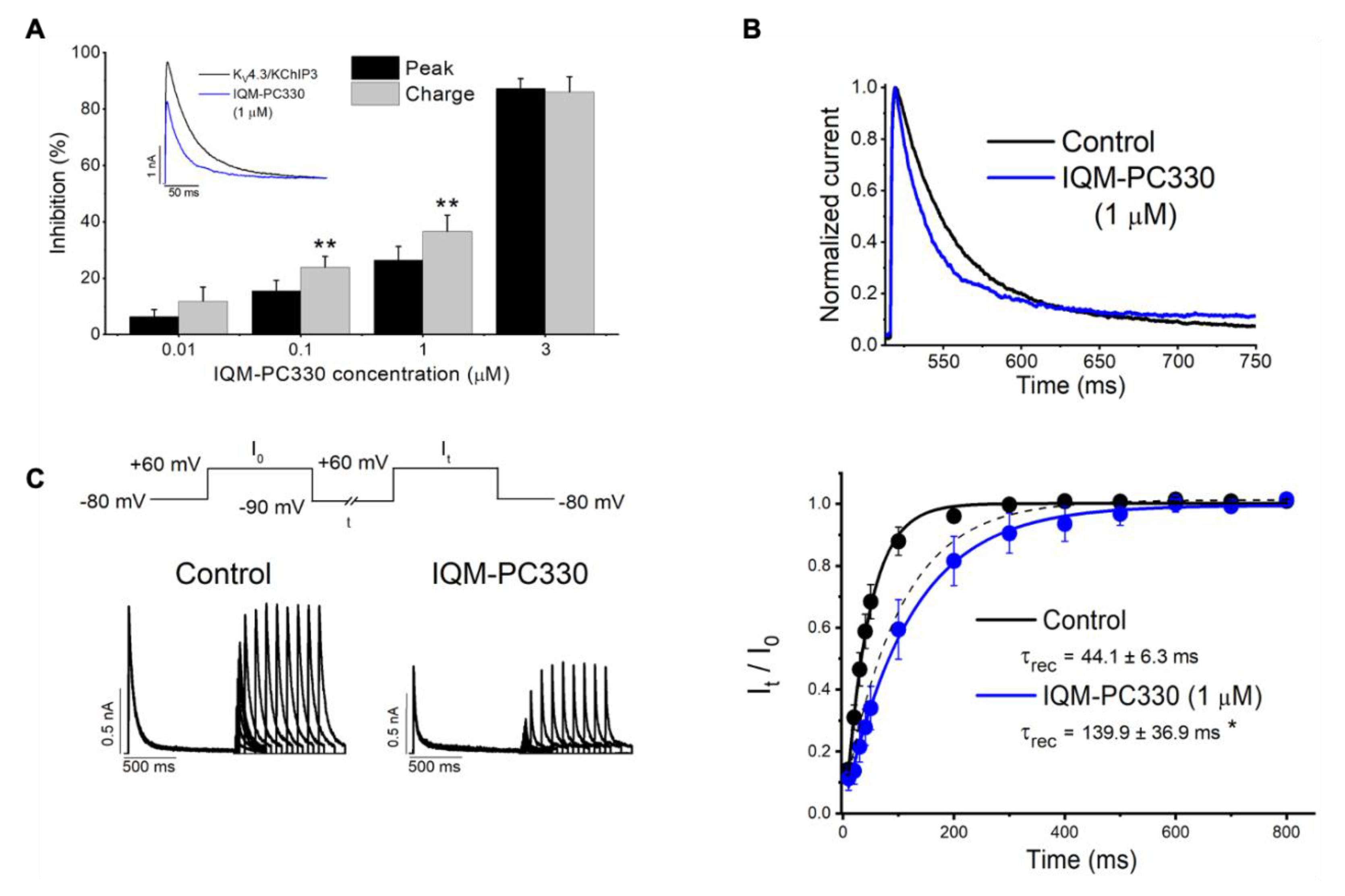Ijms 22 01419 g008 Ijms 22 01419 g008
