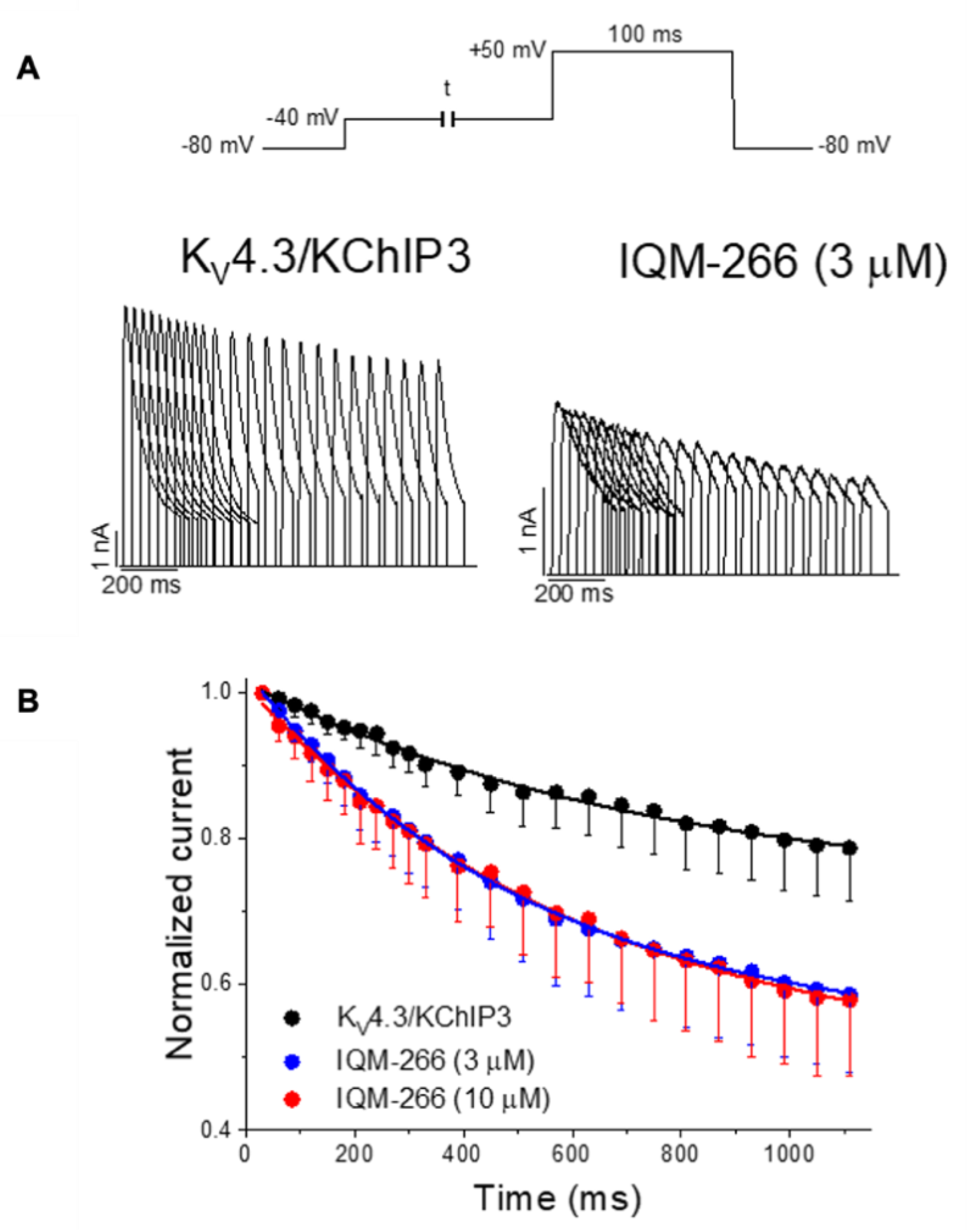 Ijms 22 01419 g010 Ijms 22 01419 g010