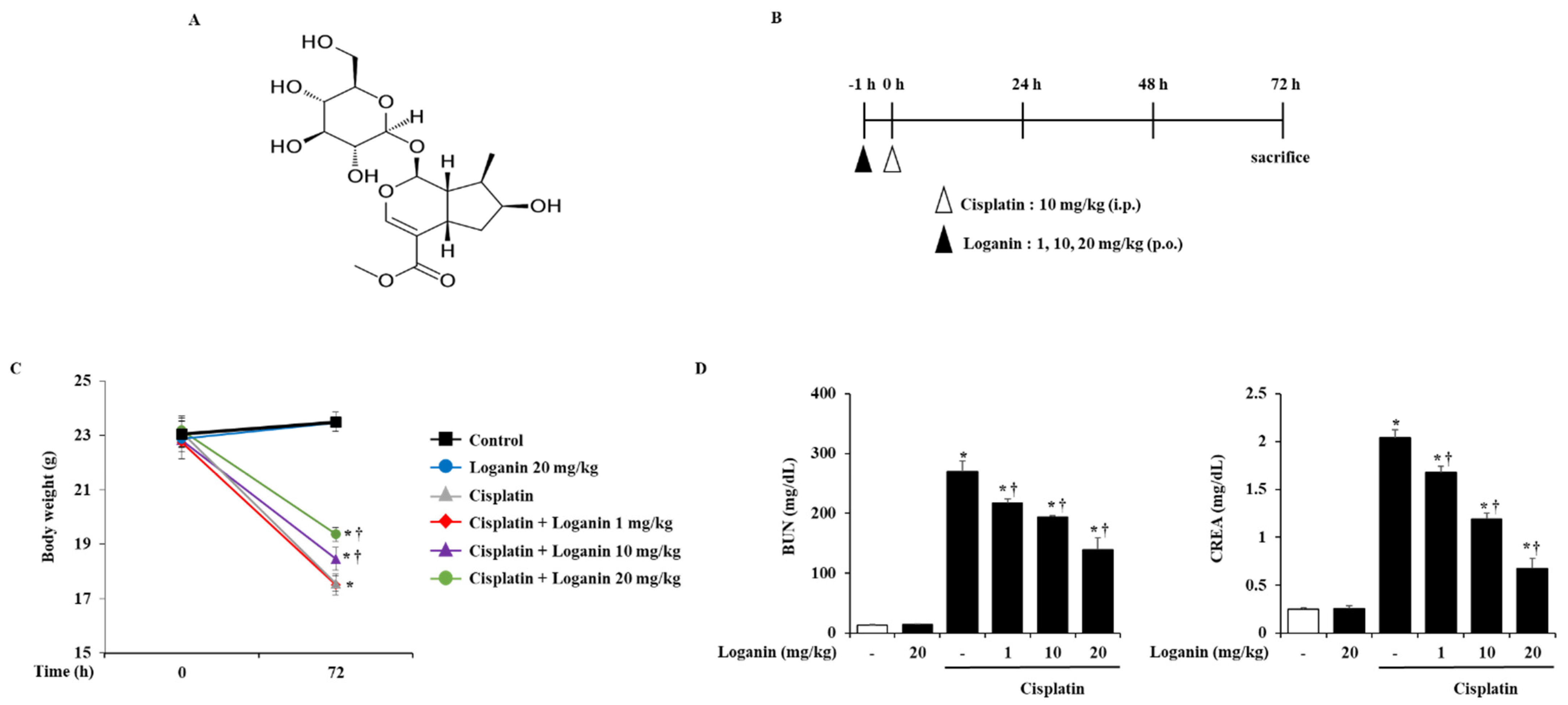 Ijms 22 01421 g001 Ijms 22 01421 g001