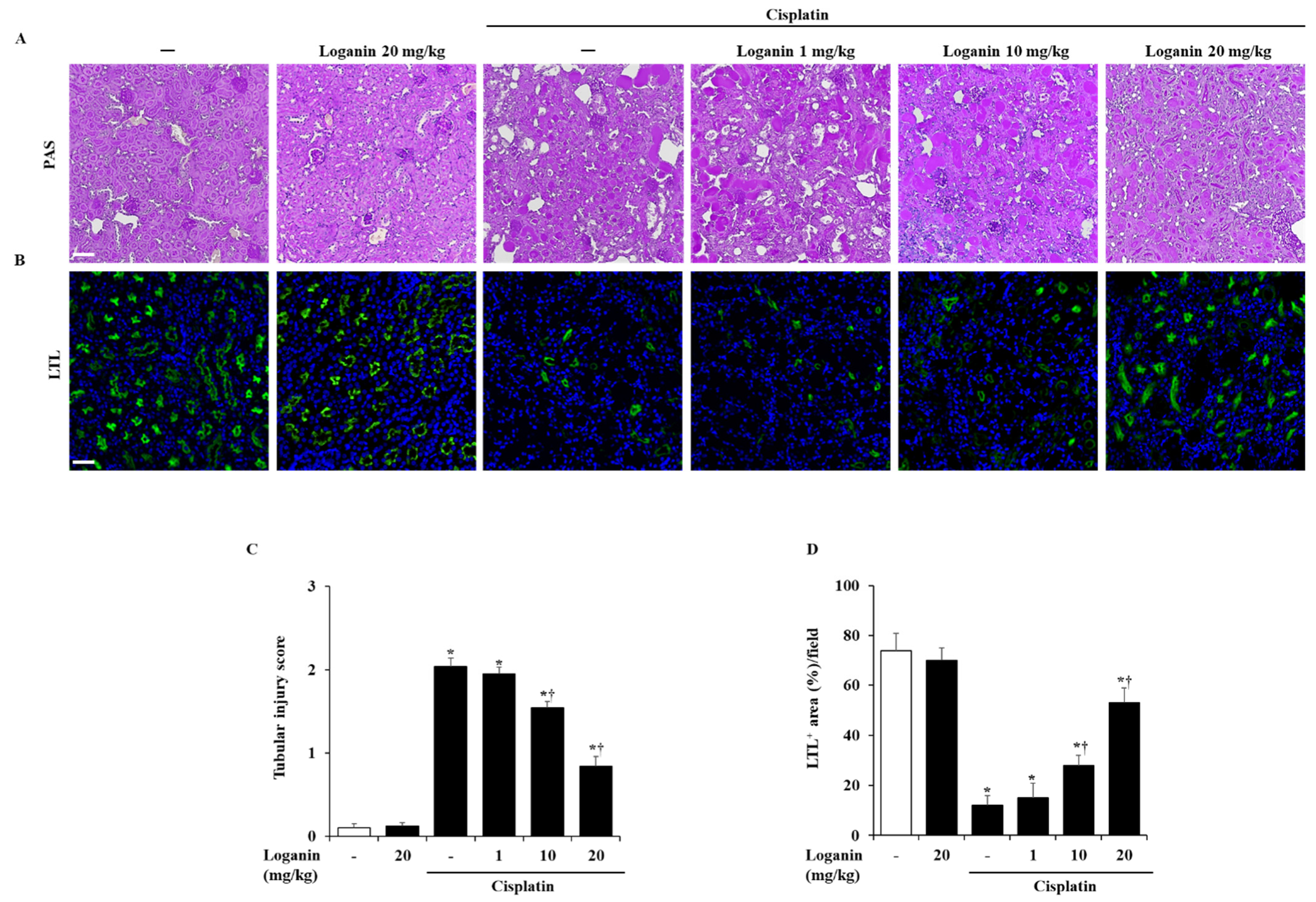 Ijms 22 01421 g002 Ijms 22 01421 g002