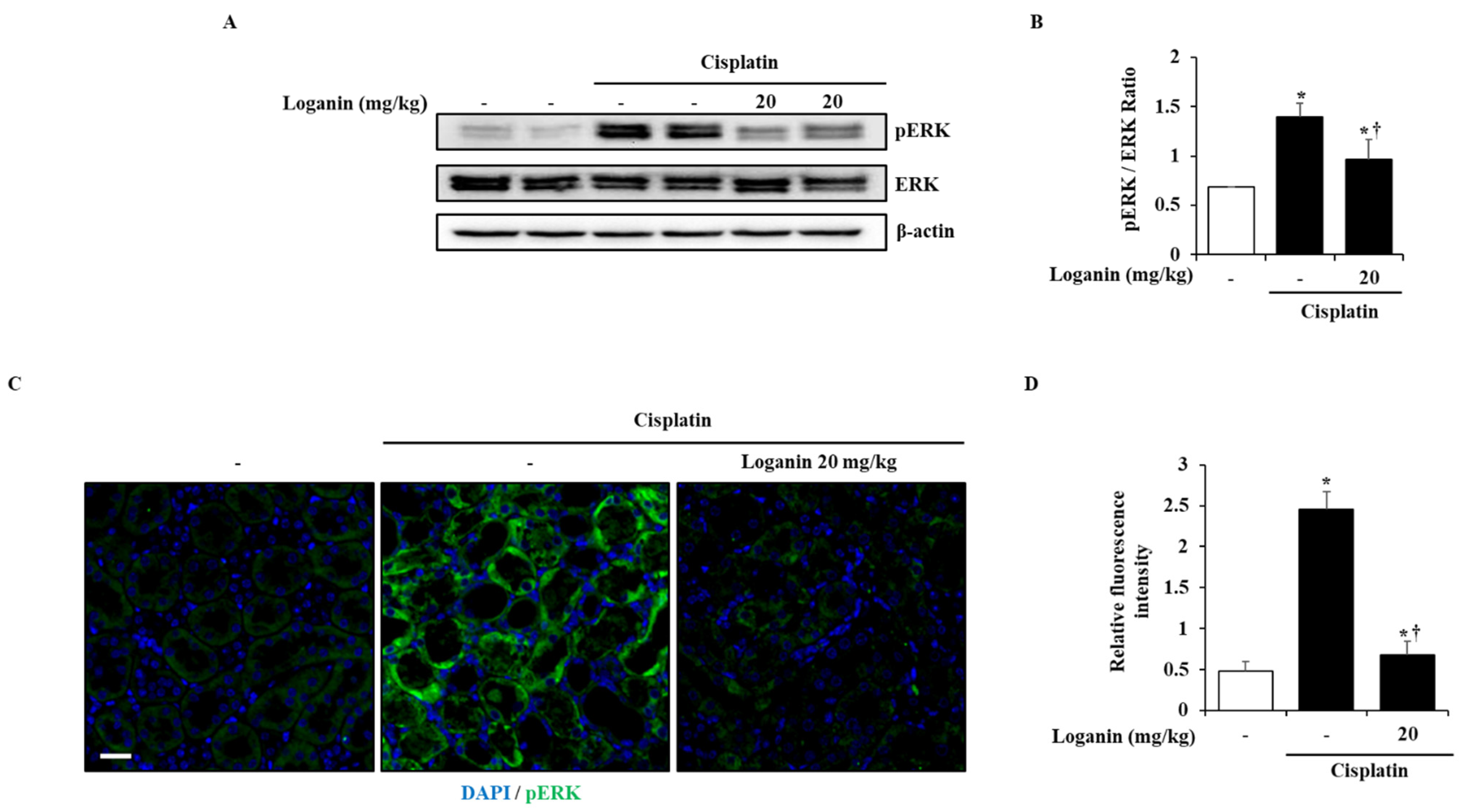 Ijms 22 01421 g005 Ijms 22 01421 g005