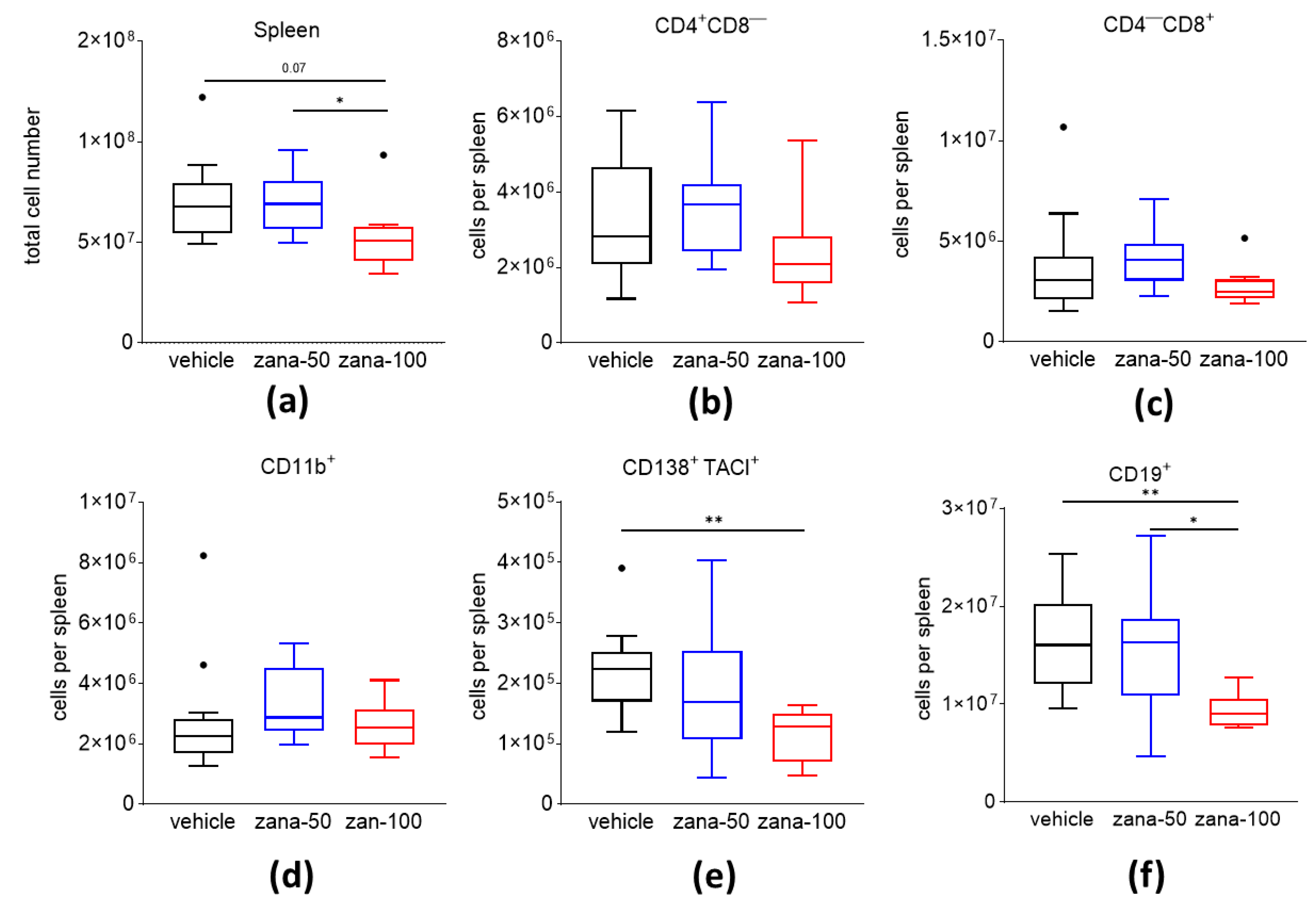 Ijms 22 01428 g003 Ijms 22 01428 g003