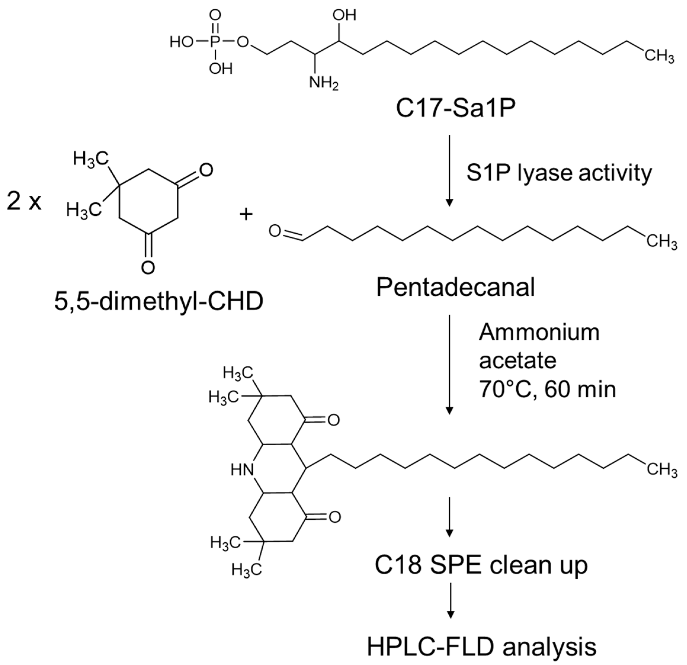 Ijms 22 01438 g001 Ijms 22 01438 g001
