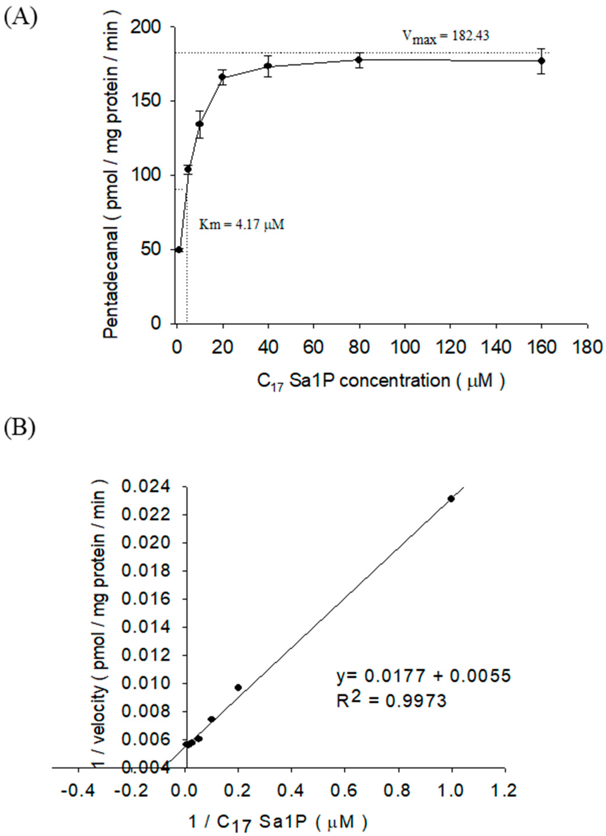 Ijms 22 01438 g007 Ijms 22 01438 g007