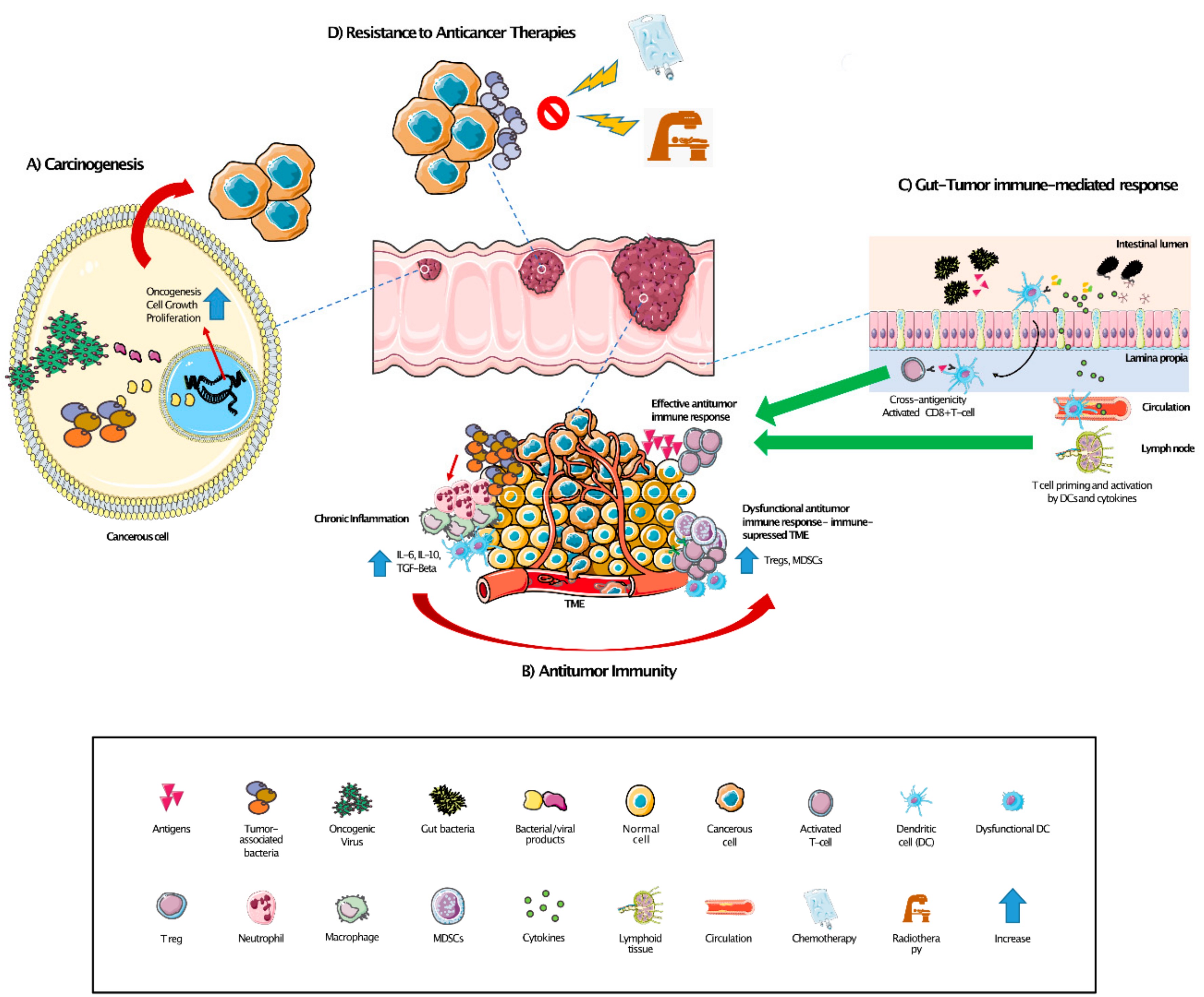 Ijms 22 01446 g001 Ijms 22 01446 g001