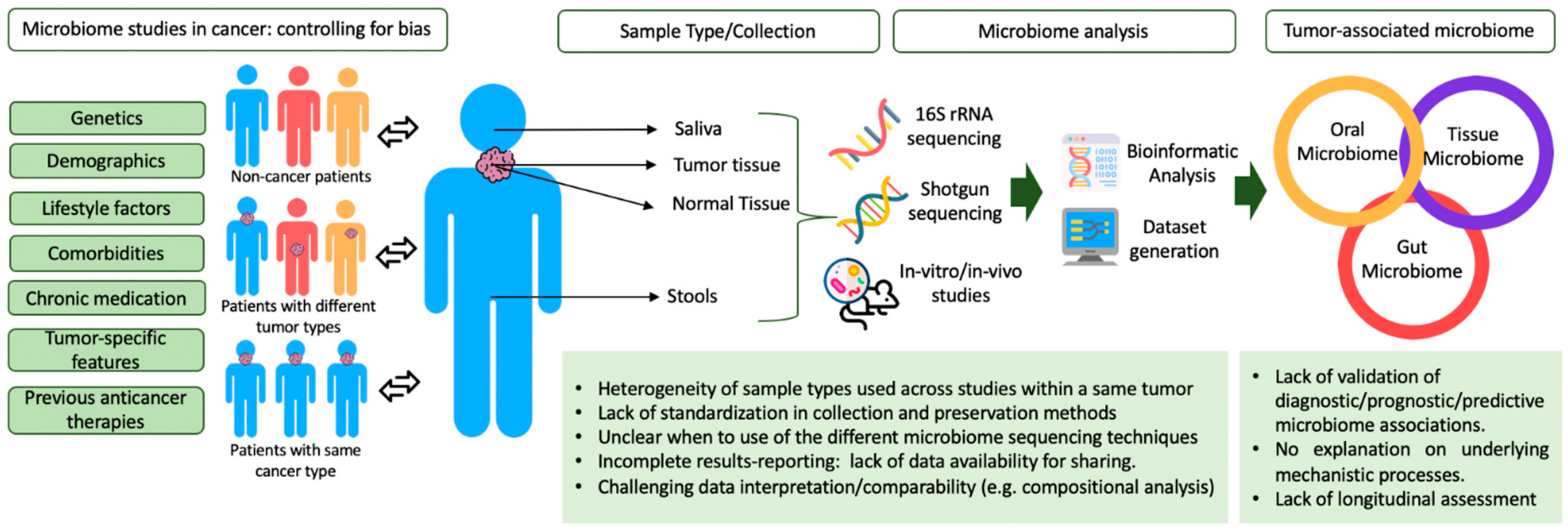 Ijms 22 01446 g002 Ijms 22 01446 g002