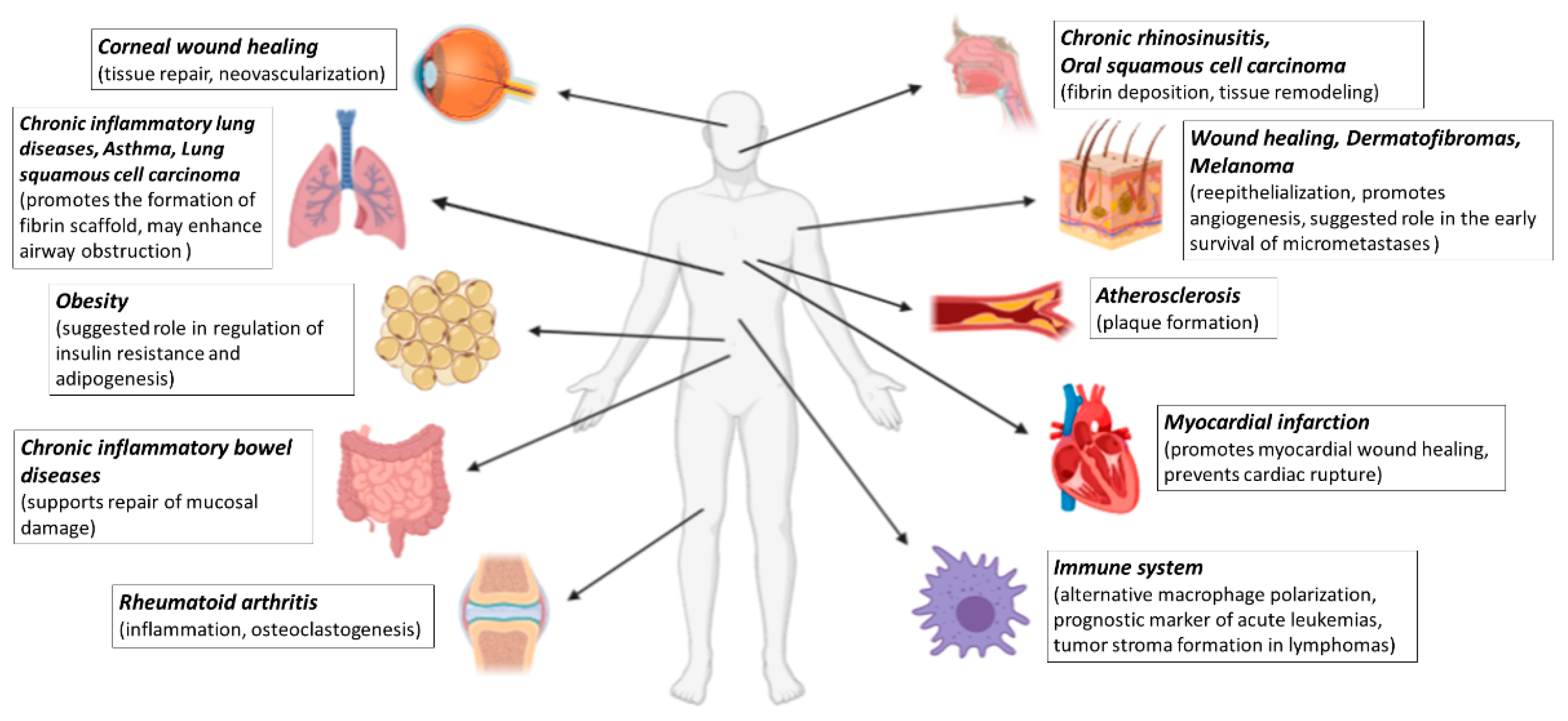 Ijms 22 01459 g001 Ijms 22 01459 g001