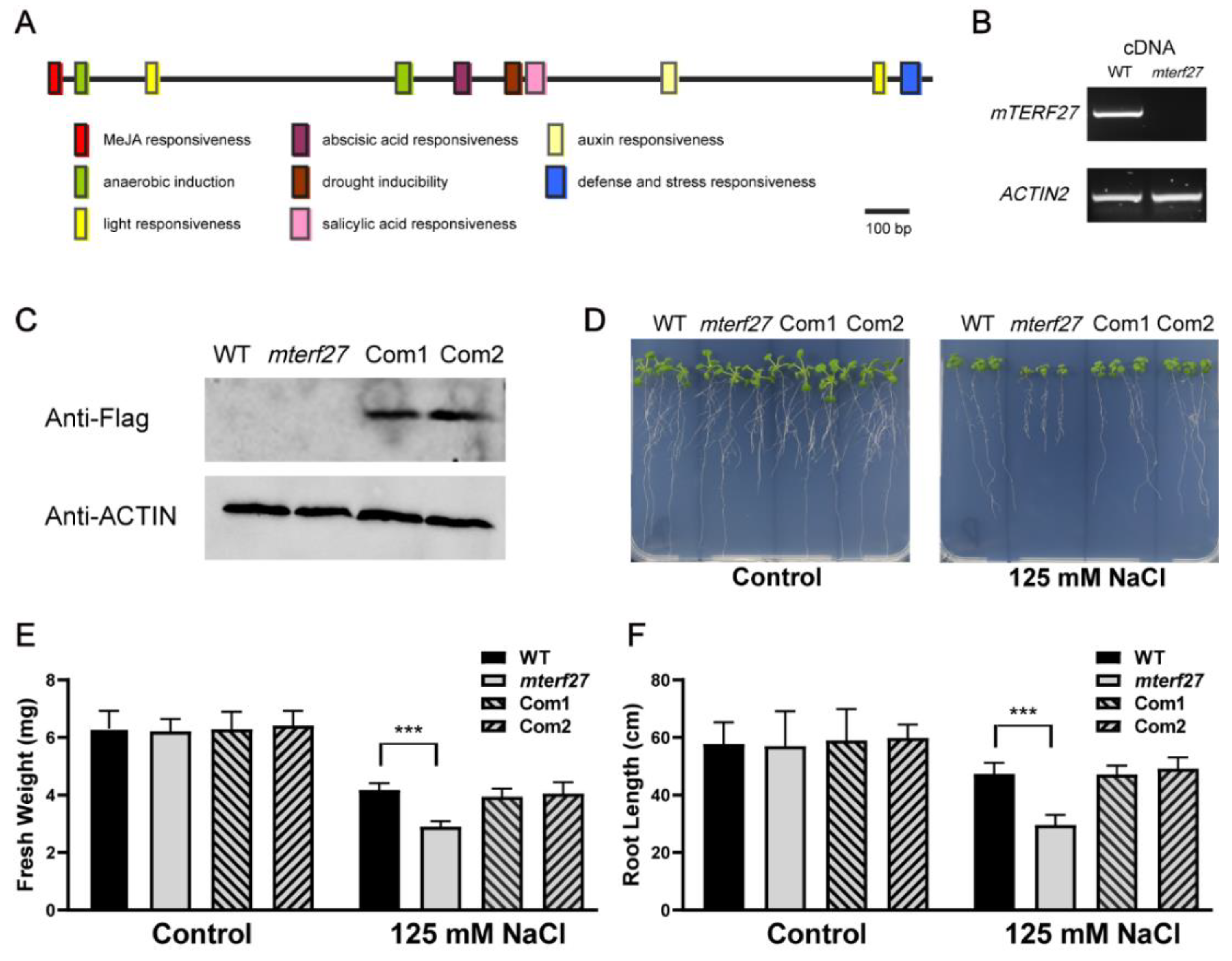 Ijms 22 01466 g002 Ijms 22 01466 g002