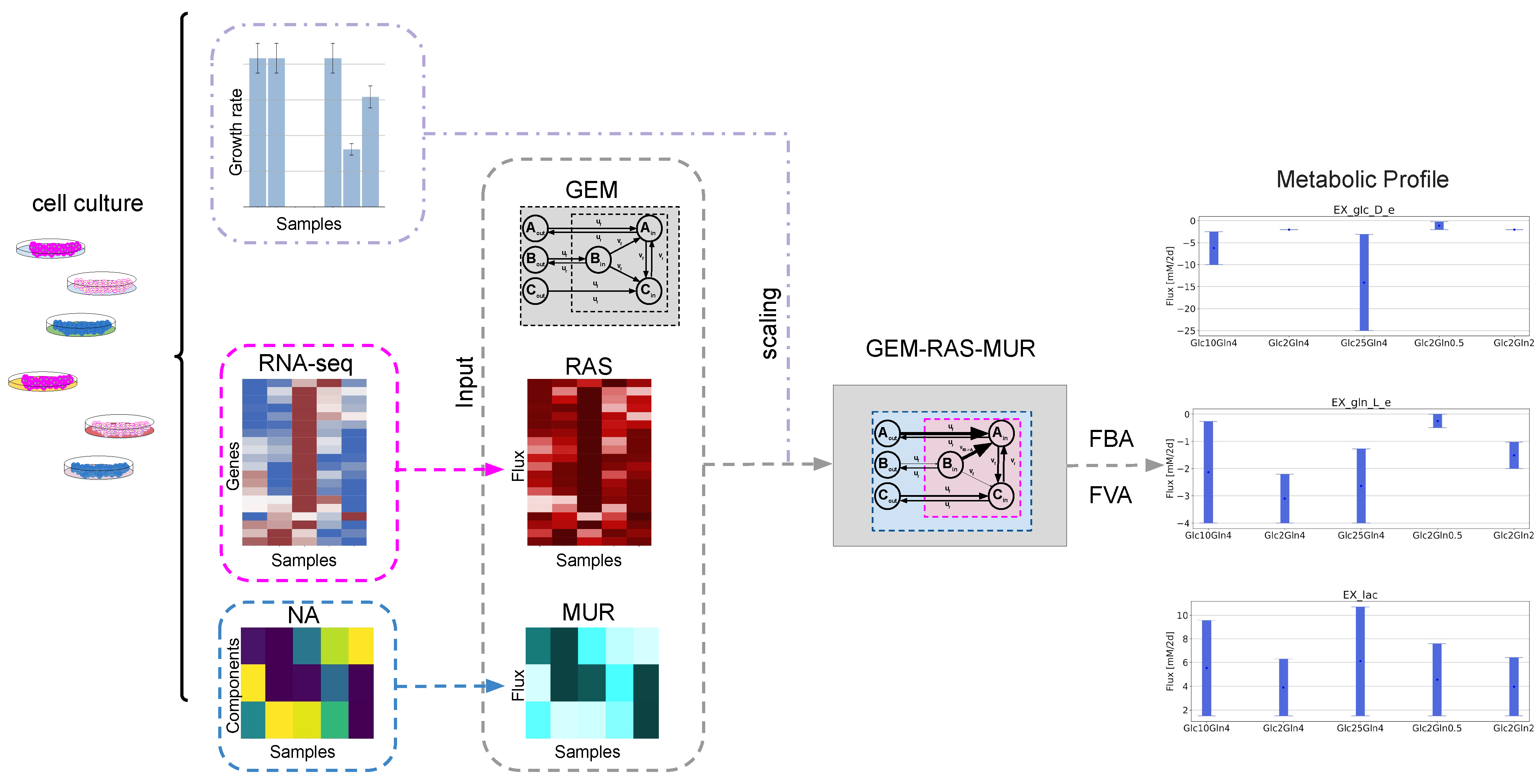 Ijms 22 01470 g001 Ijms 22 01470 g001