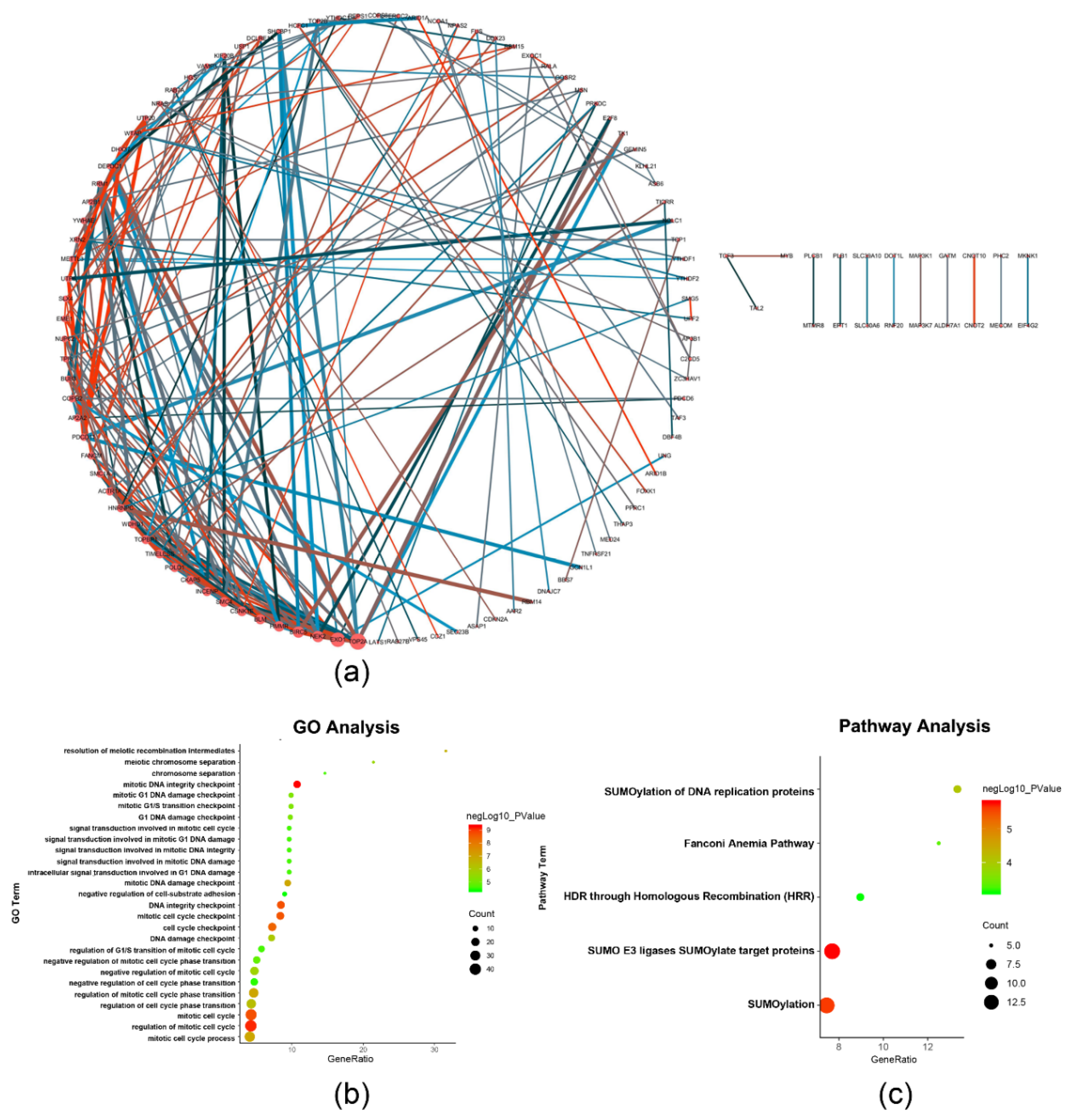 Ijms 22 01474 g002 Ijms 22 01474 g002