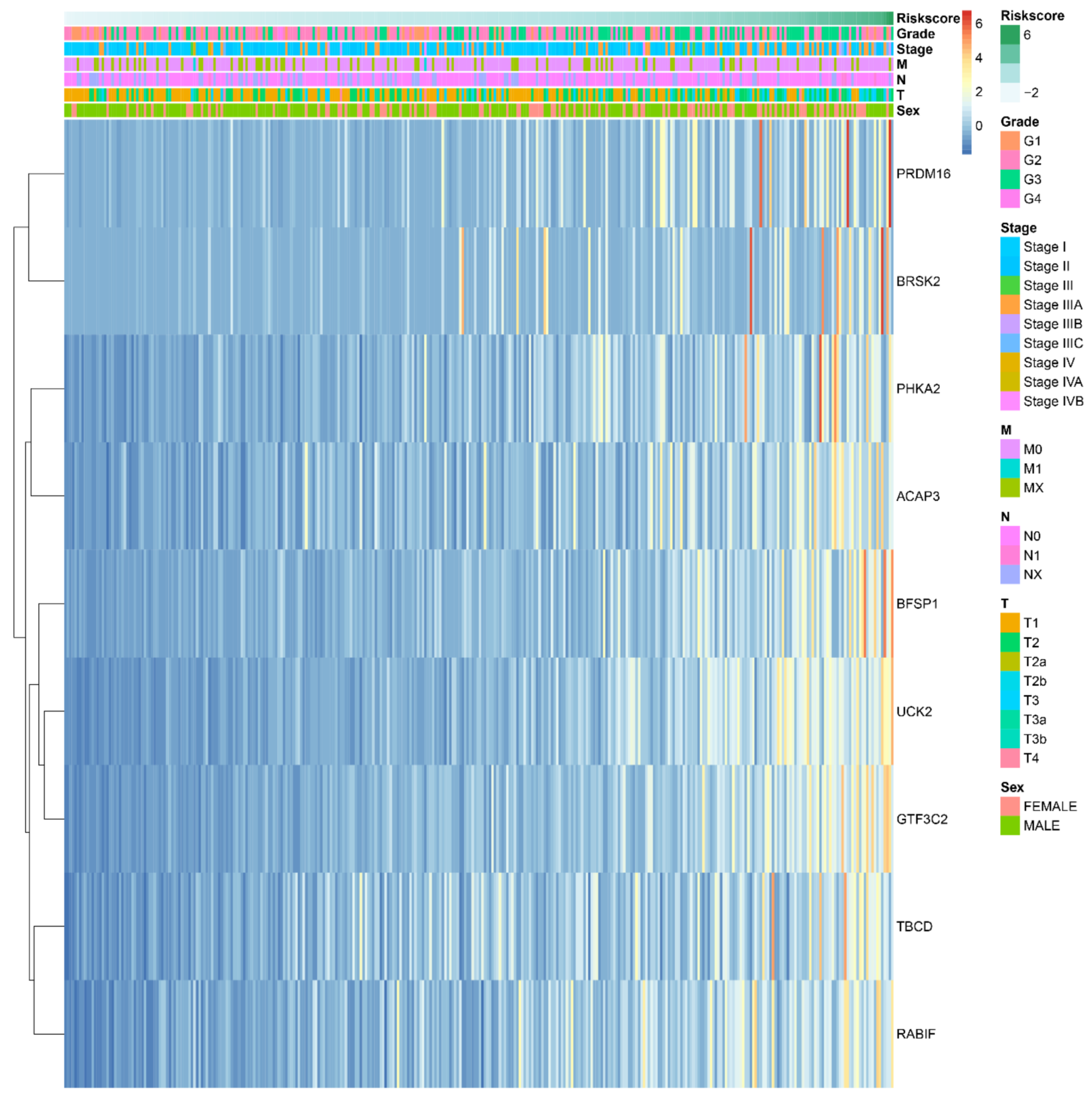 Ijms 22 01474 g004 Ijms 22 01474 g004
