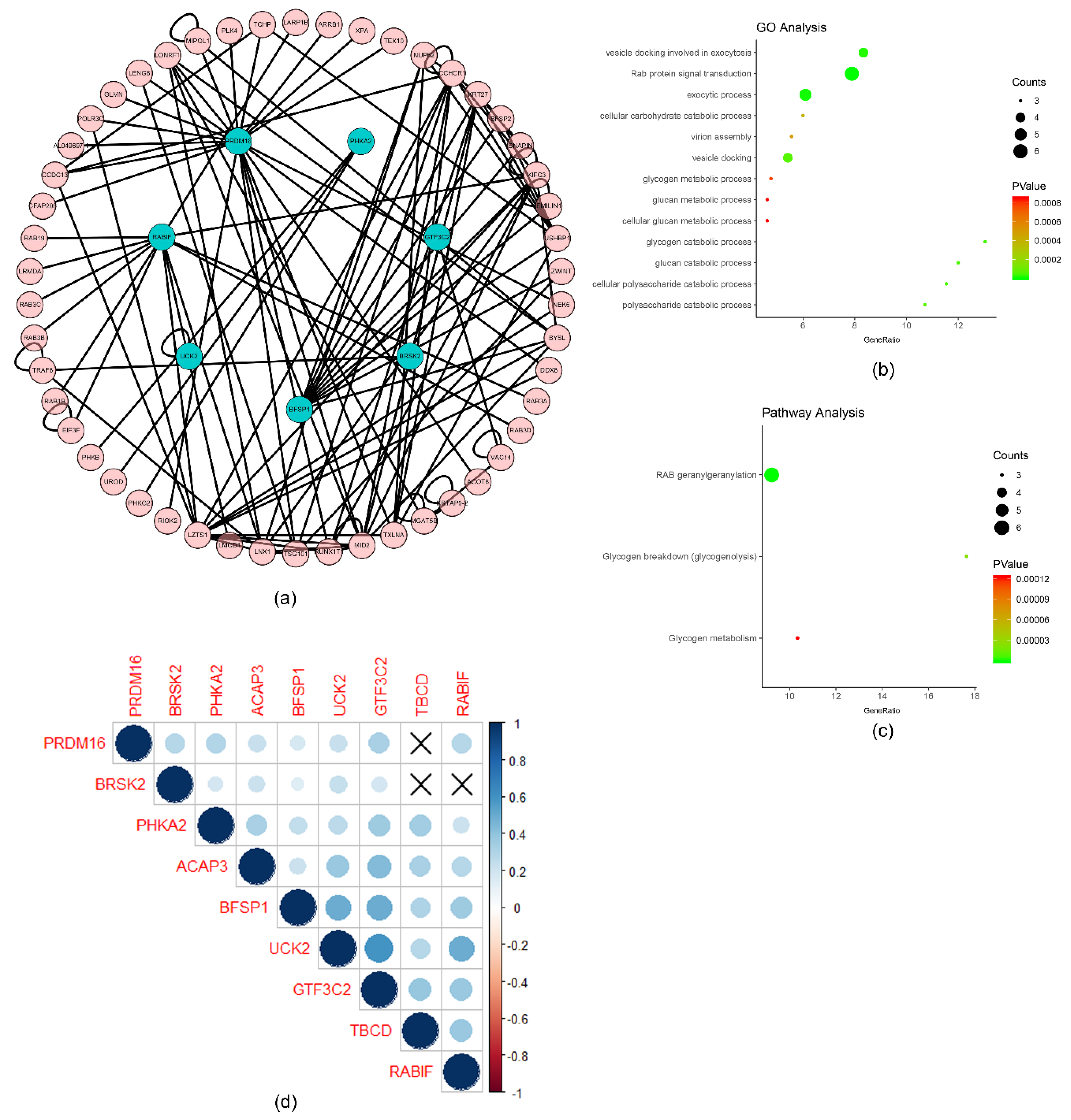 Ijms 22 01474 g006 Ijms 22 01474 g006