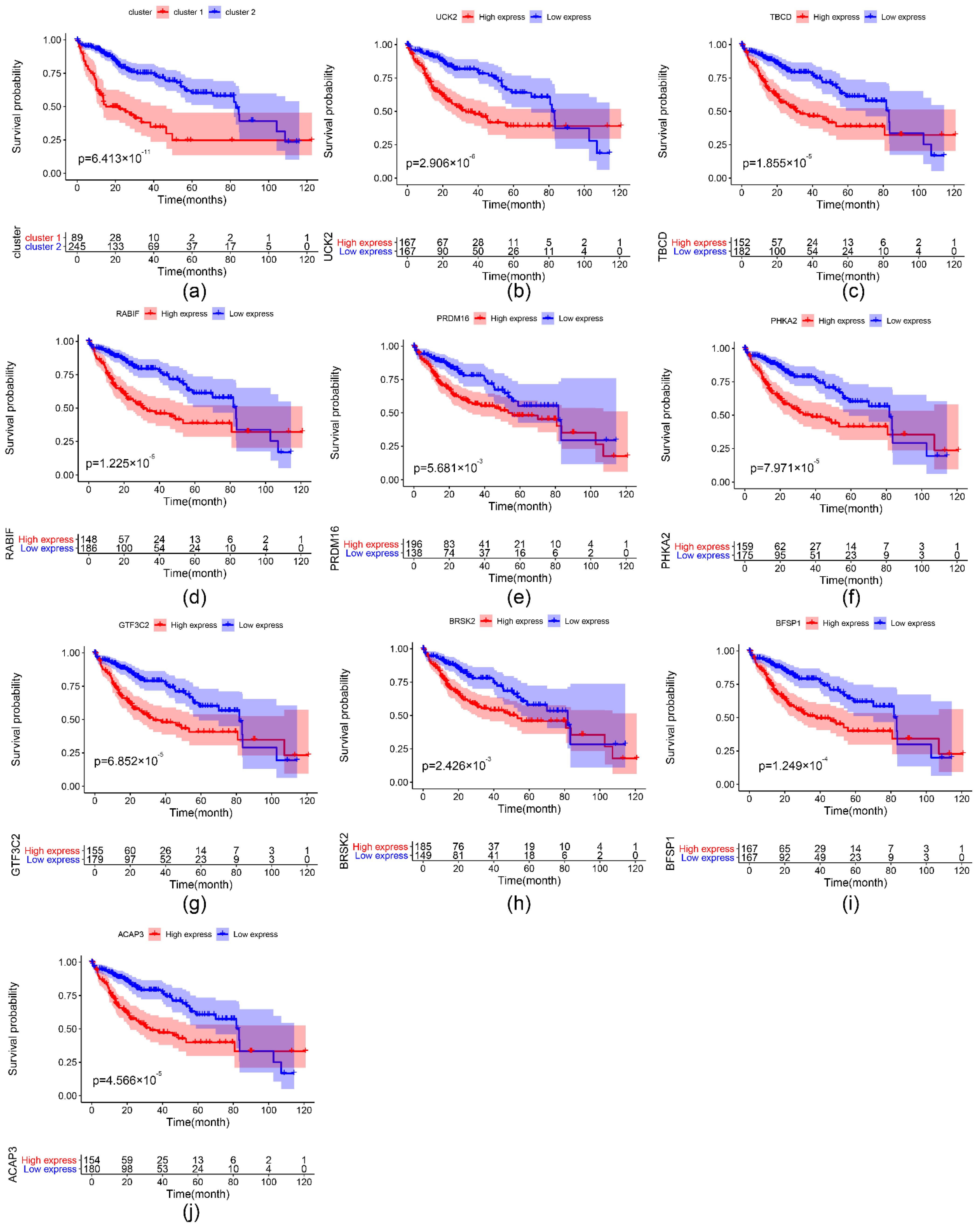 Ijms 22 01474 g008 Ijms 22 01474 g008