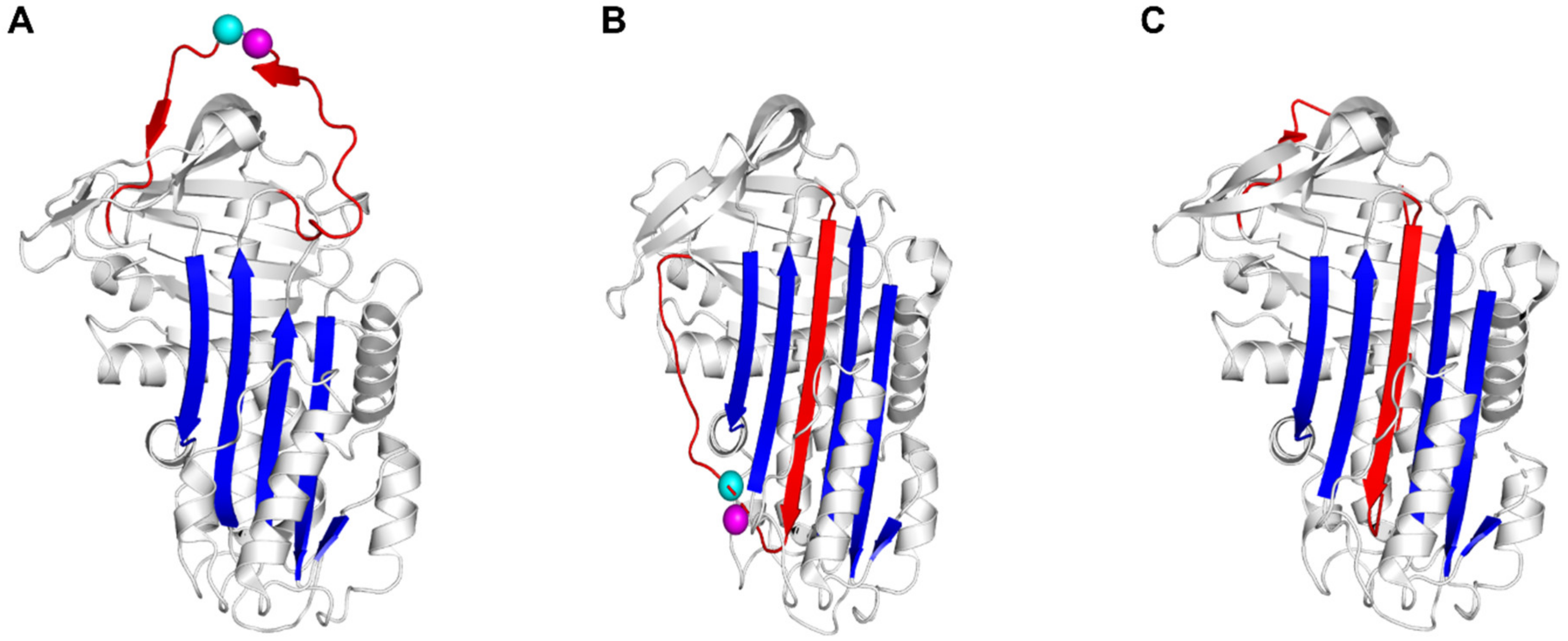 Plasminogen Activator Inhibitor-1 Is a Marker and a Mediator of