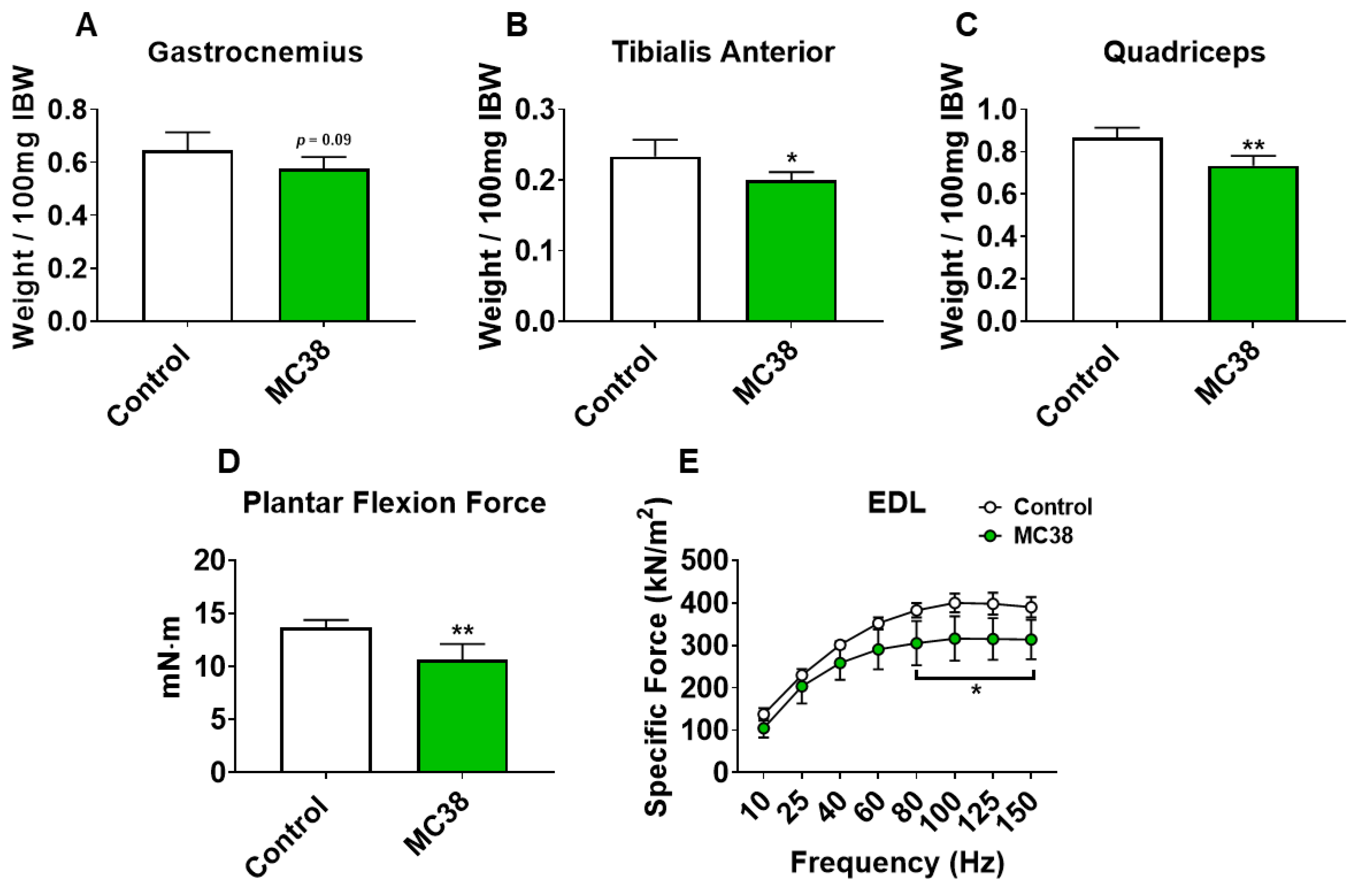 Ijms 22 01486 g002 Ijms 22 01486 g002