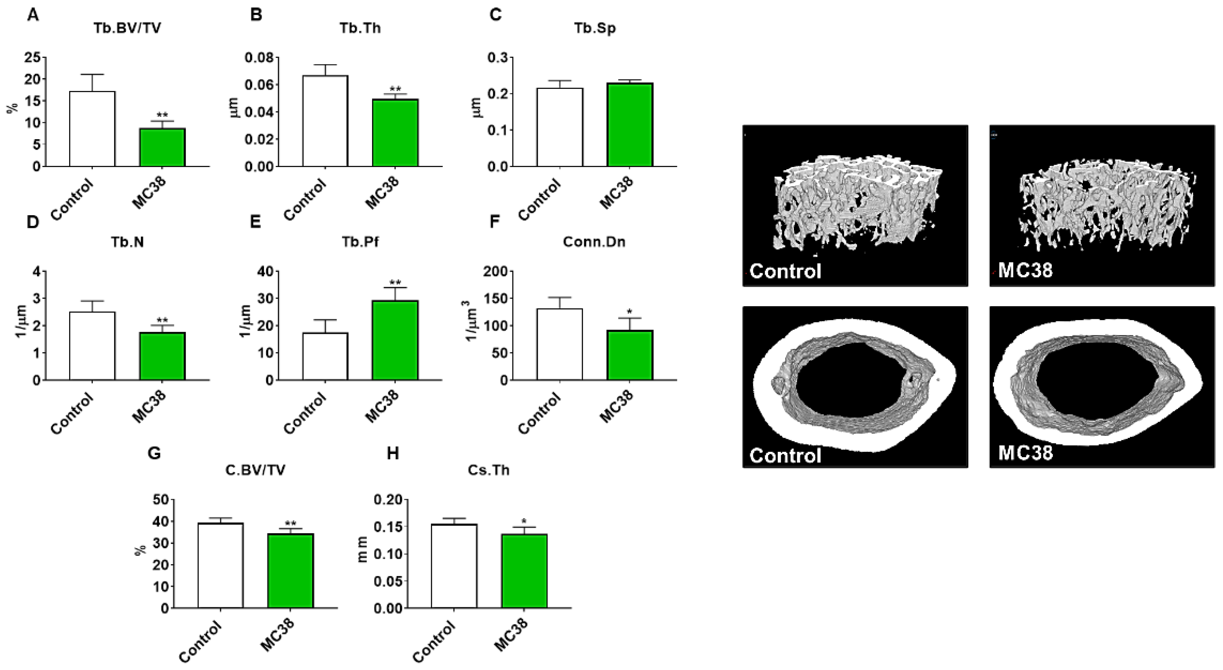 Ijms 22 01486 g003 Ijms 22 01486 g003