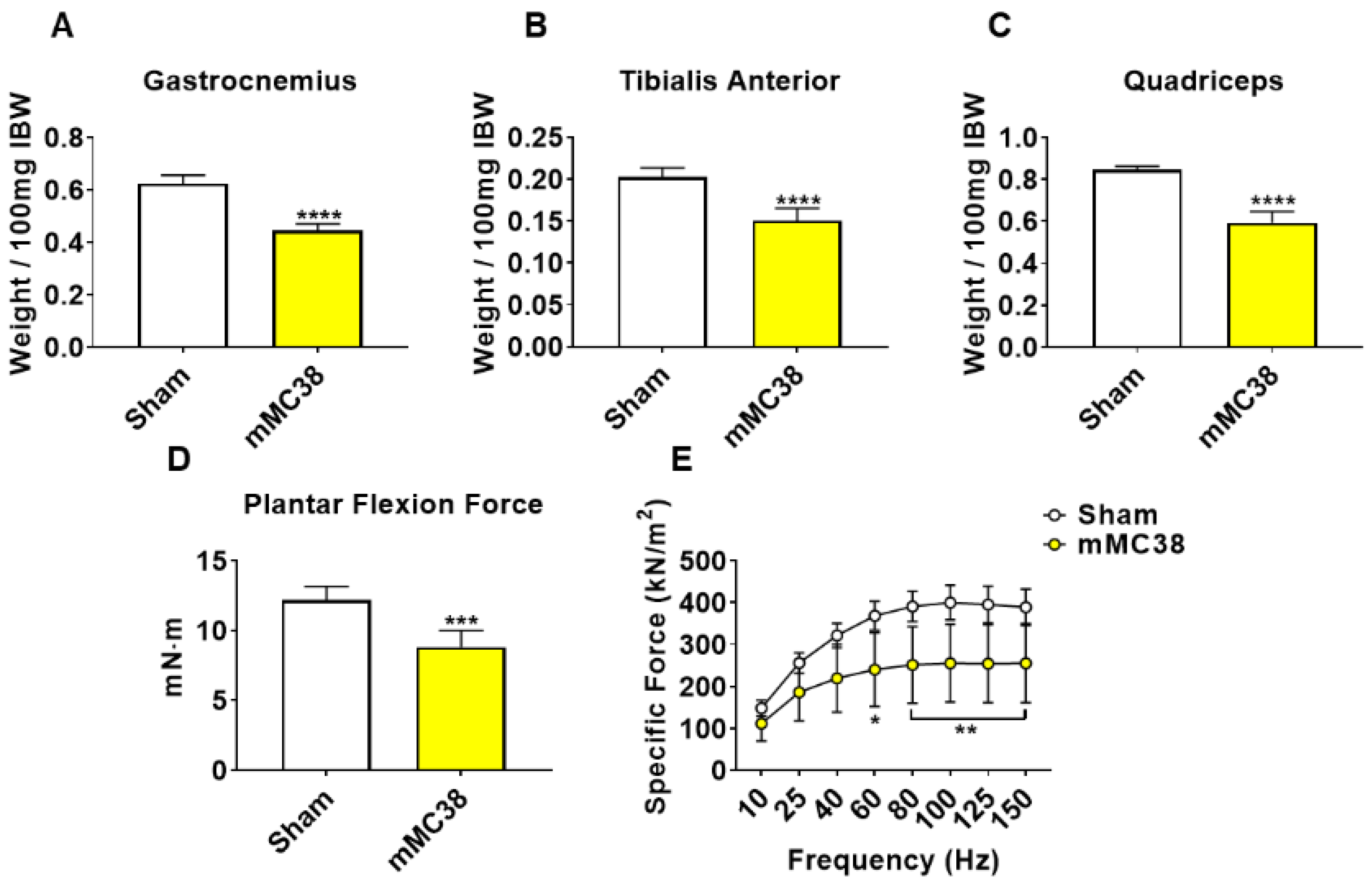 Ijms 22 01486 g005 Ijms 22 01486 g005