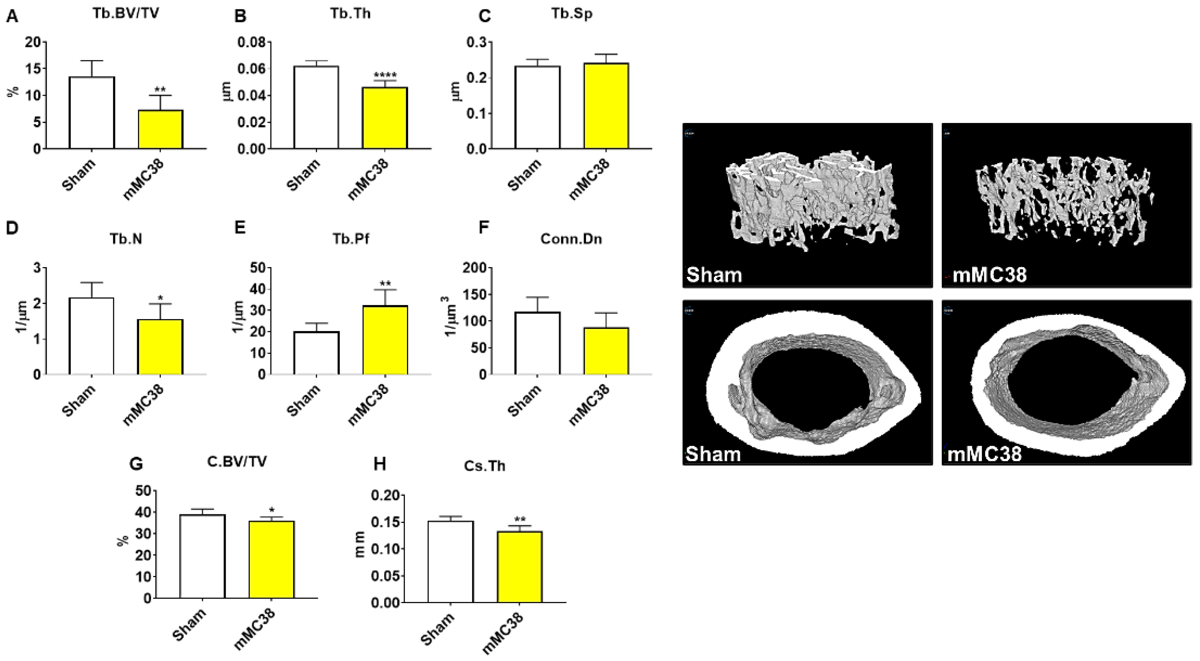 Ijms 22 01486 g006 Ijms 22 01486 g006