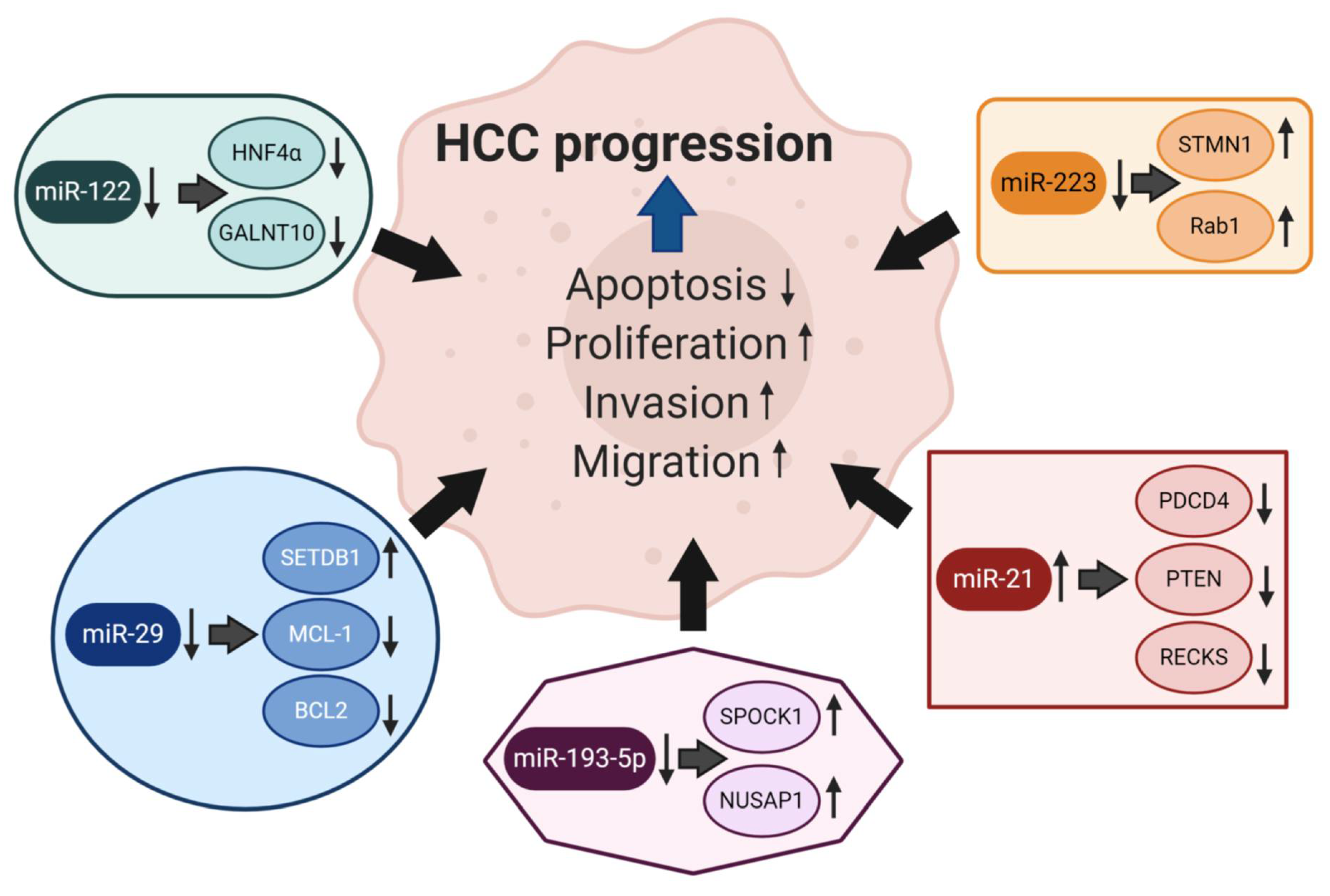 Ijms 22 01492 g002 Ijms 22 01492 g002