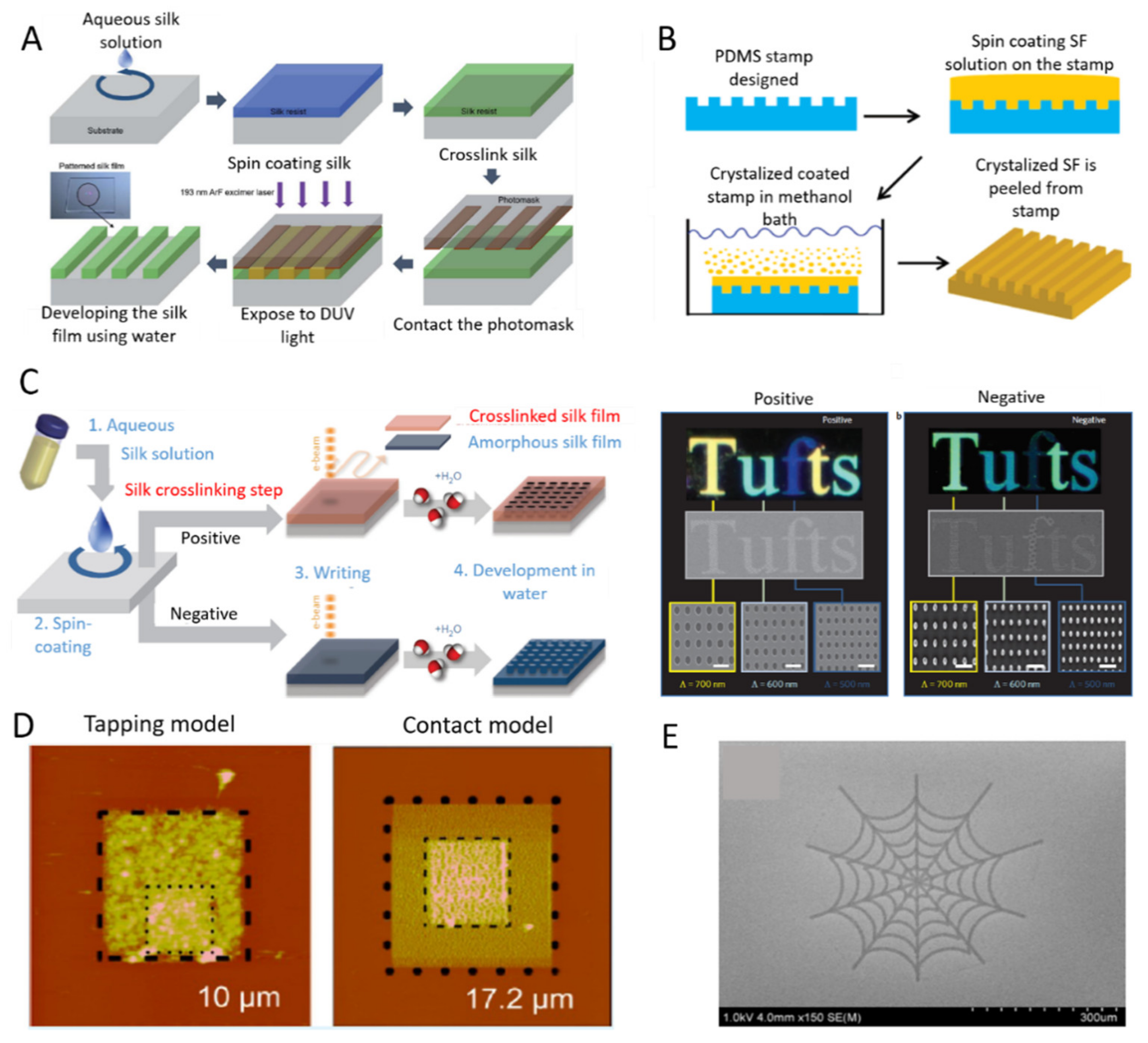 Ijms 22 01499 g005 Ijms 22 01499 g005