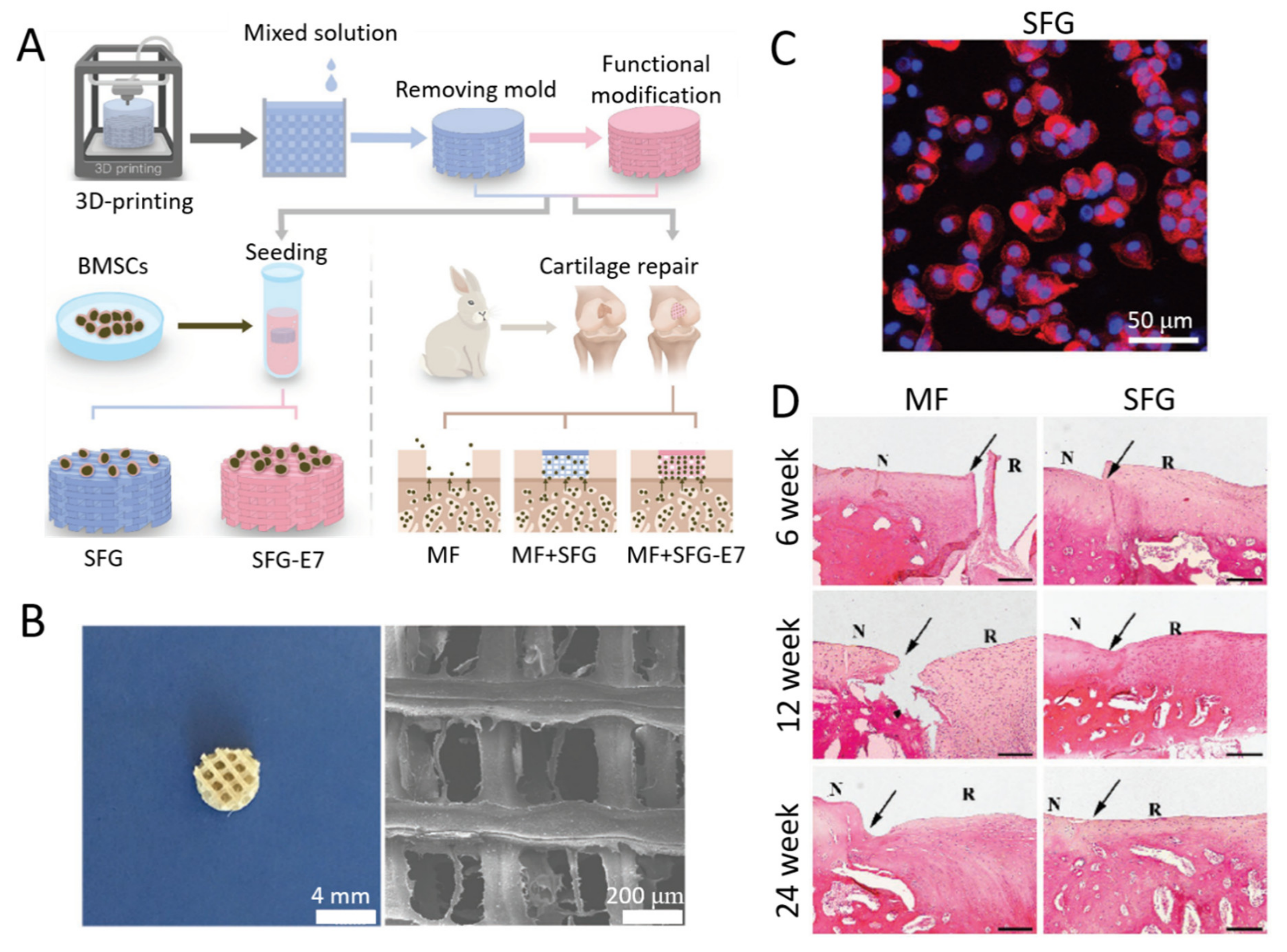 Ijms 22 01499 g007 Ijms 22 01499 g007