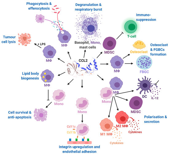 Ijms 22 01500 g003 550