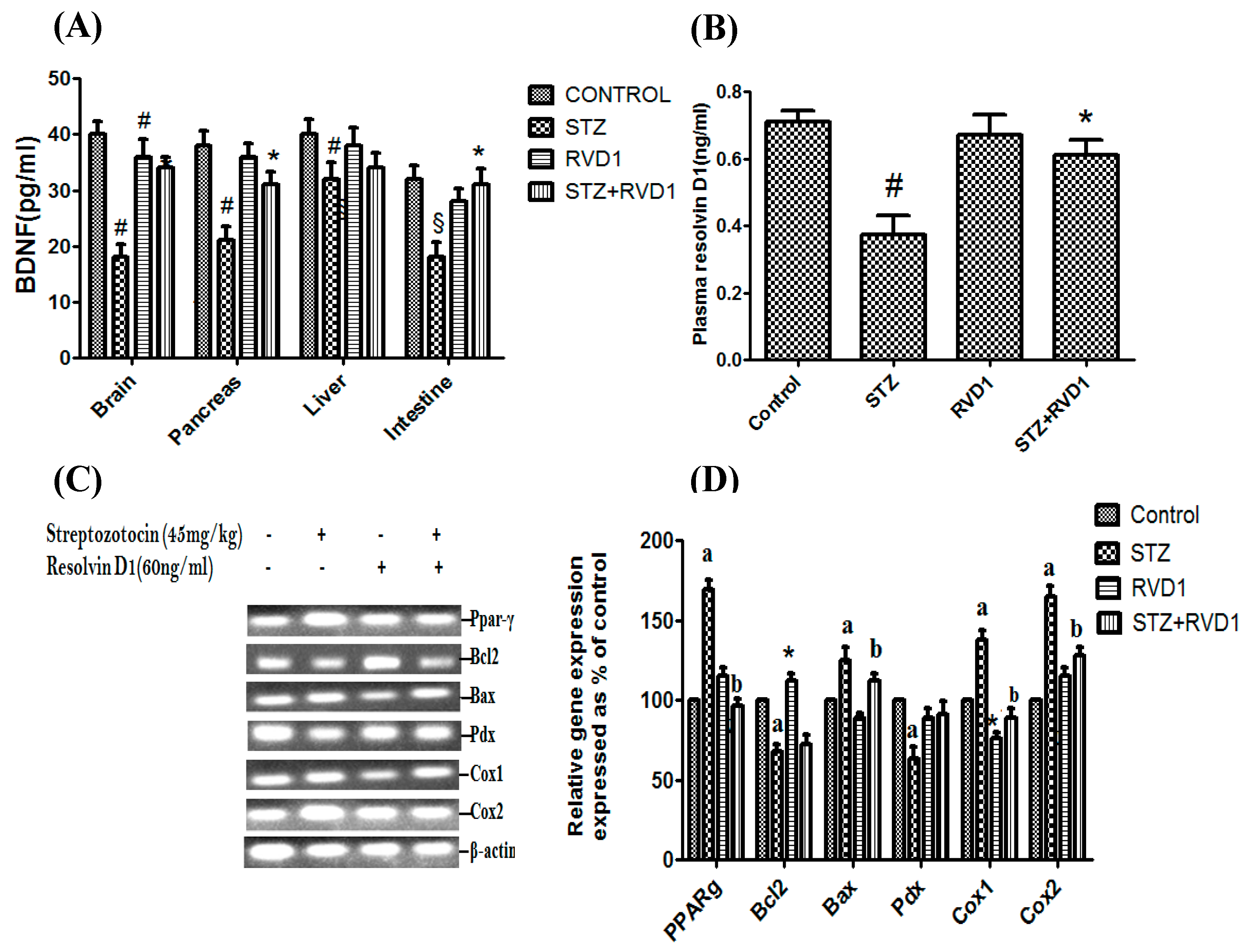 Ijms 22 01516 g002 Ijms 22 01516 g002