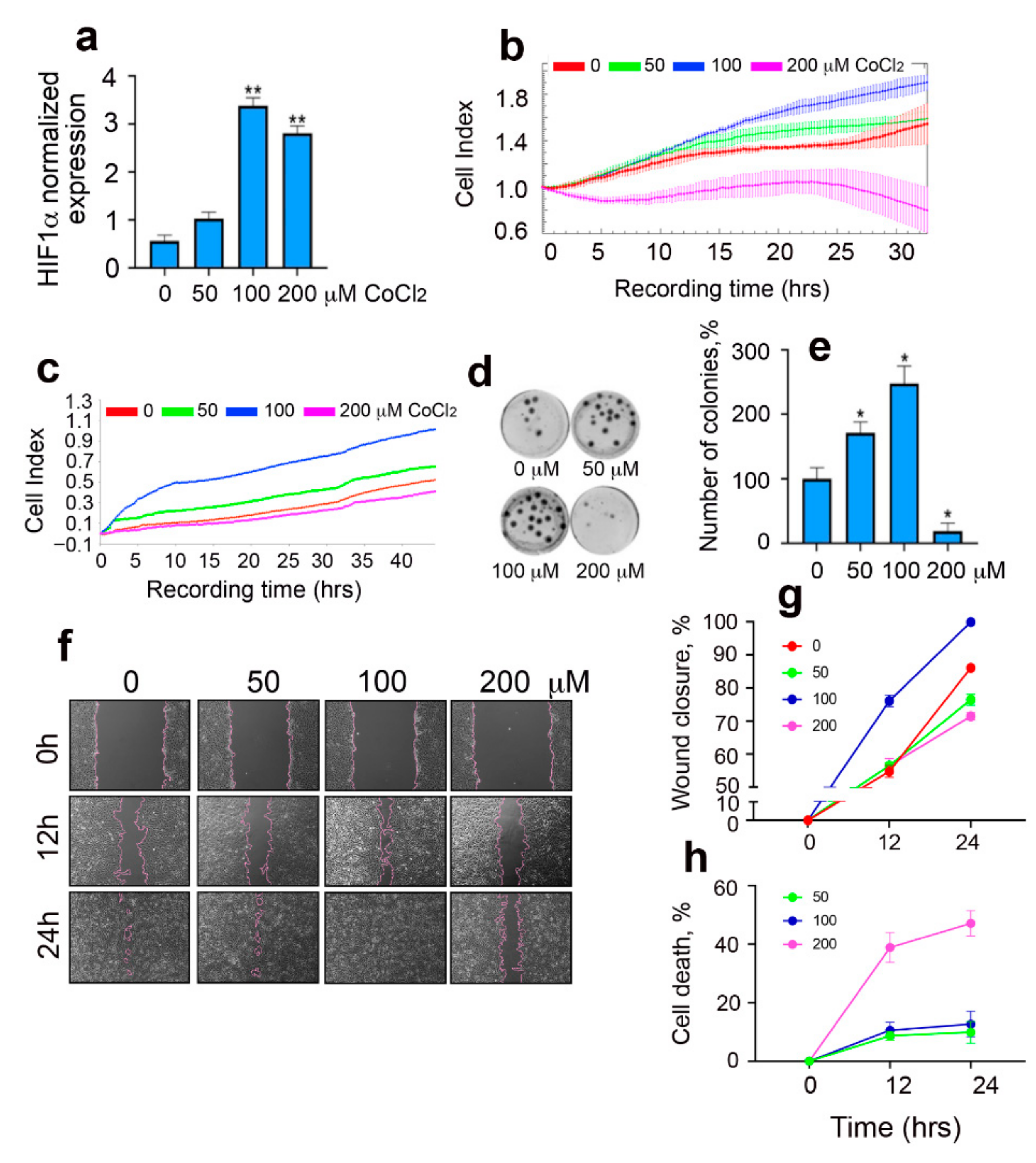 GLDHページ Disruption of the Complex between GAPDH and Hsp70 Sensitizes