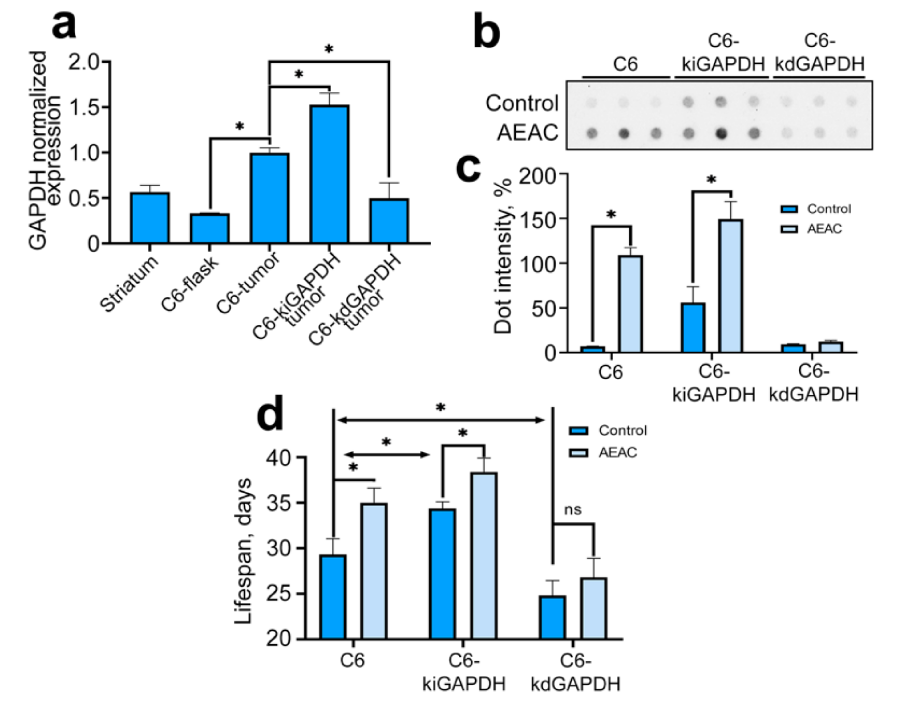 Ijms 22 01520 g005 Ijms 22 01520 g005