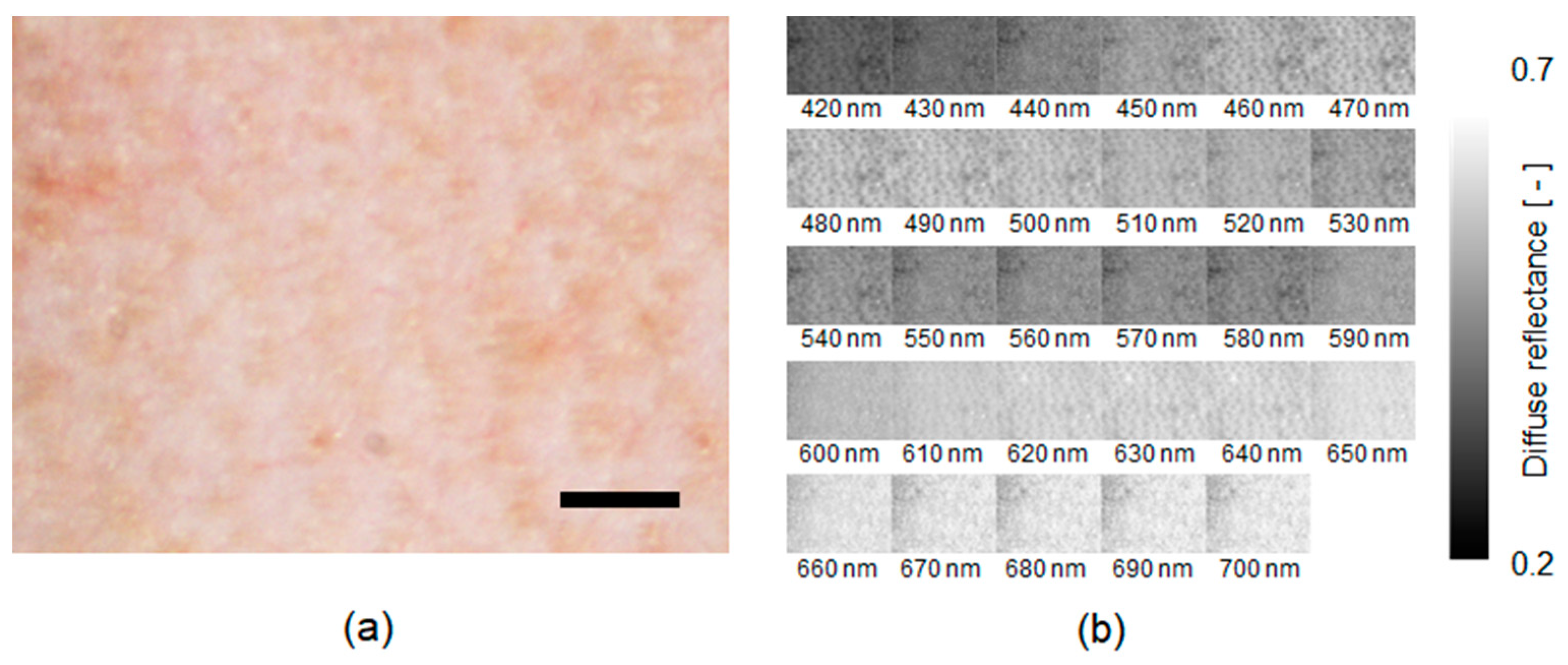 Ijms 22 01528 g002 Ijms 22 01528 g002