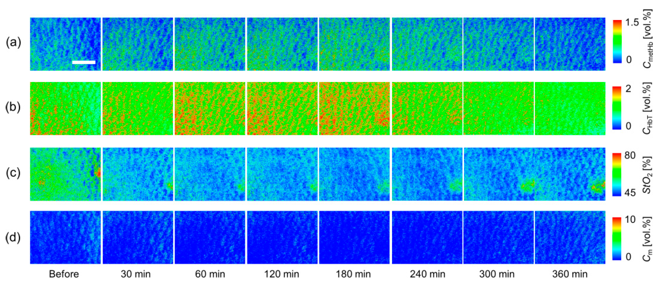 Ijms 22 01528 g004 Ijms 22 01528 g004