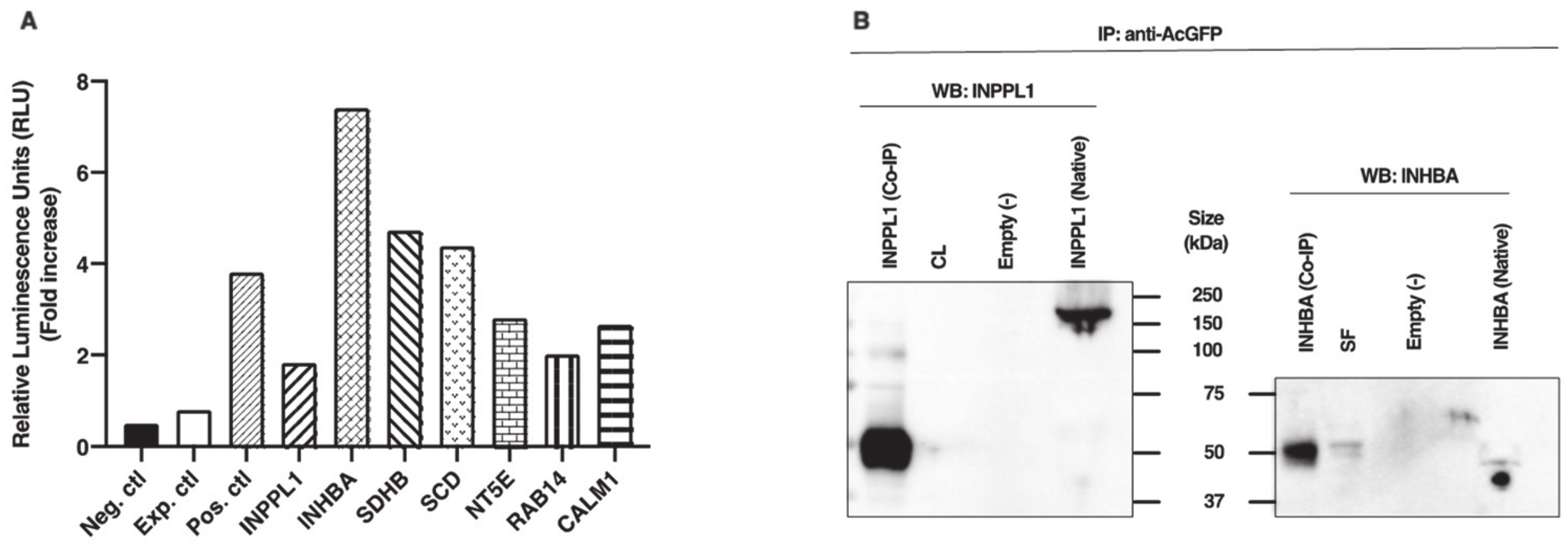 Ijms 22 01533 g001 Ijms 22 01533 g001