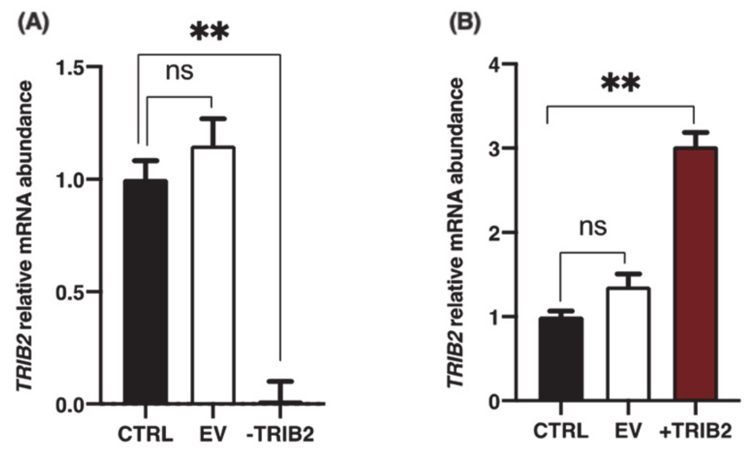 Ijms 22 01533 g003 Ijms 22 01533 g003