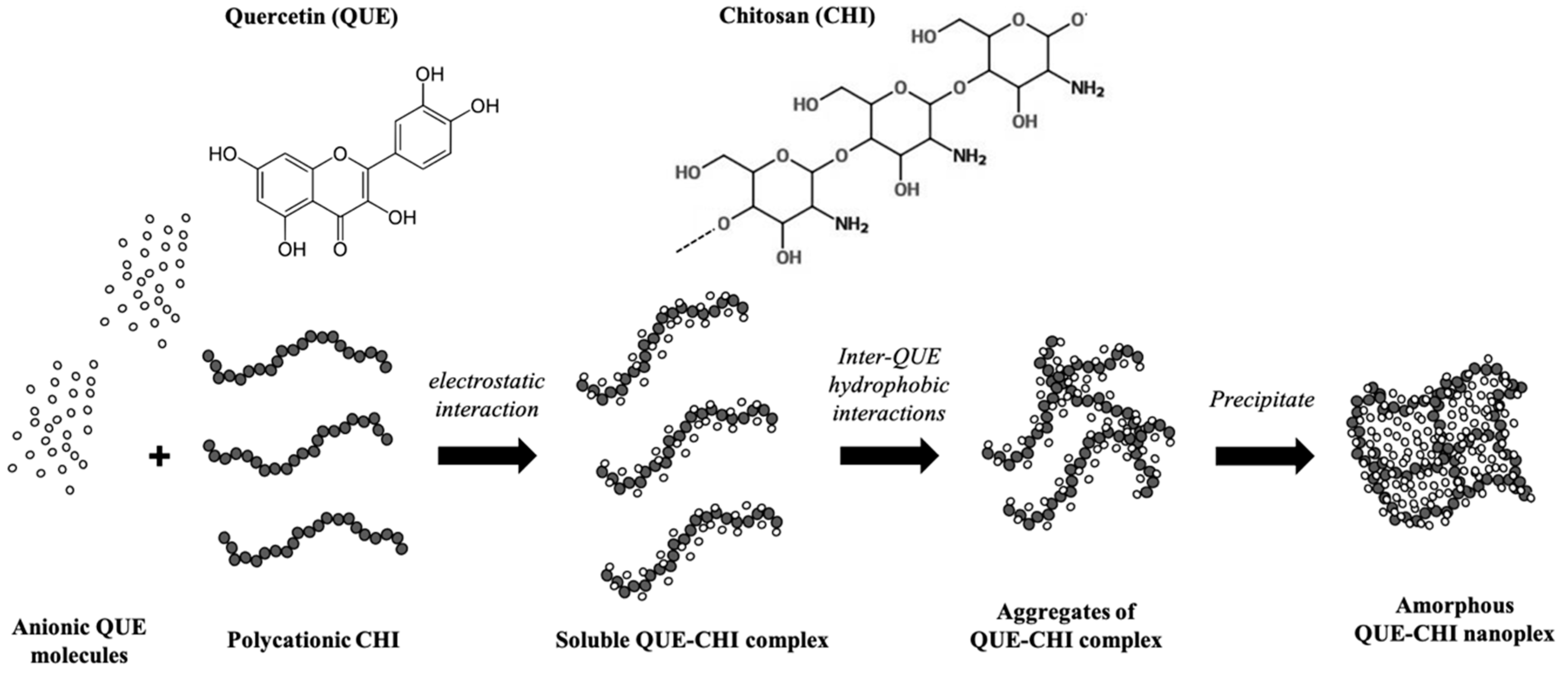 Ijms 22 01541 g001 Ijms 22 01541 g001