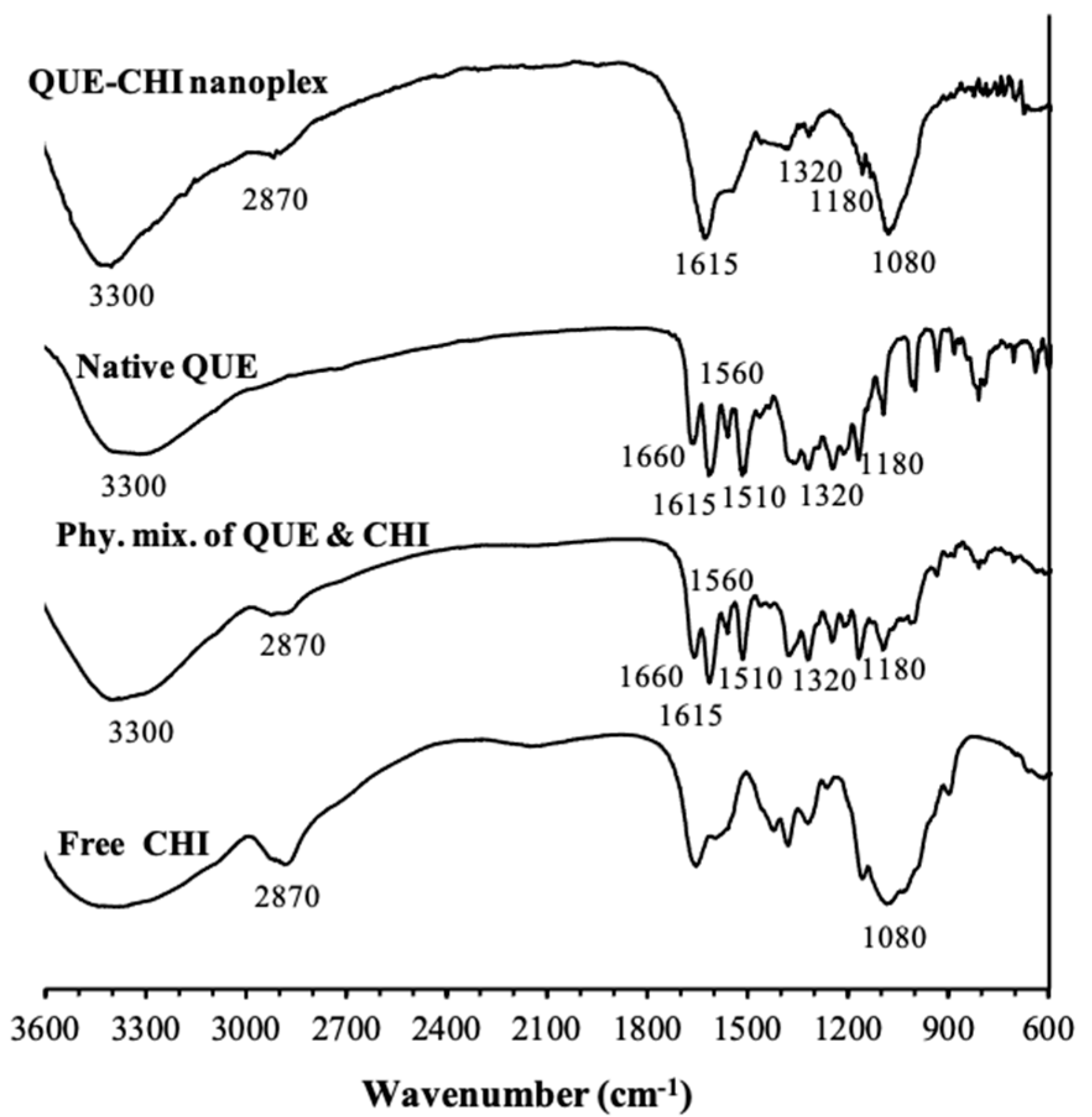 Ijms 22 01541 g004 Ijms 22 01541 g004