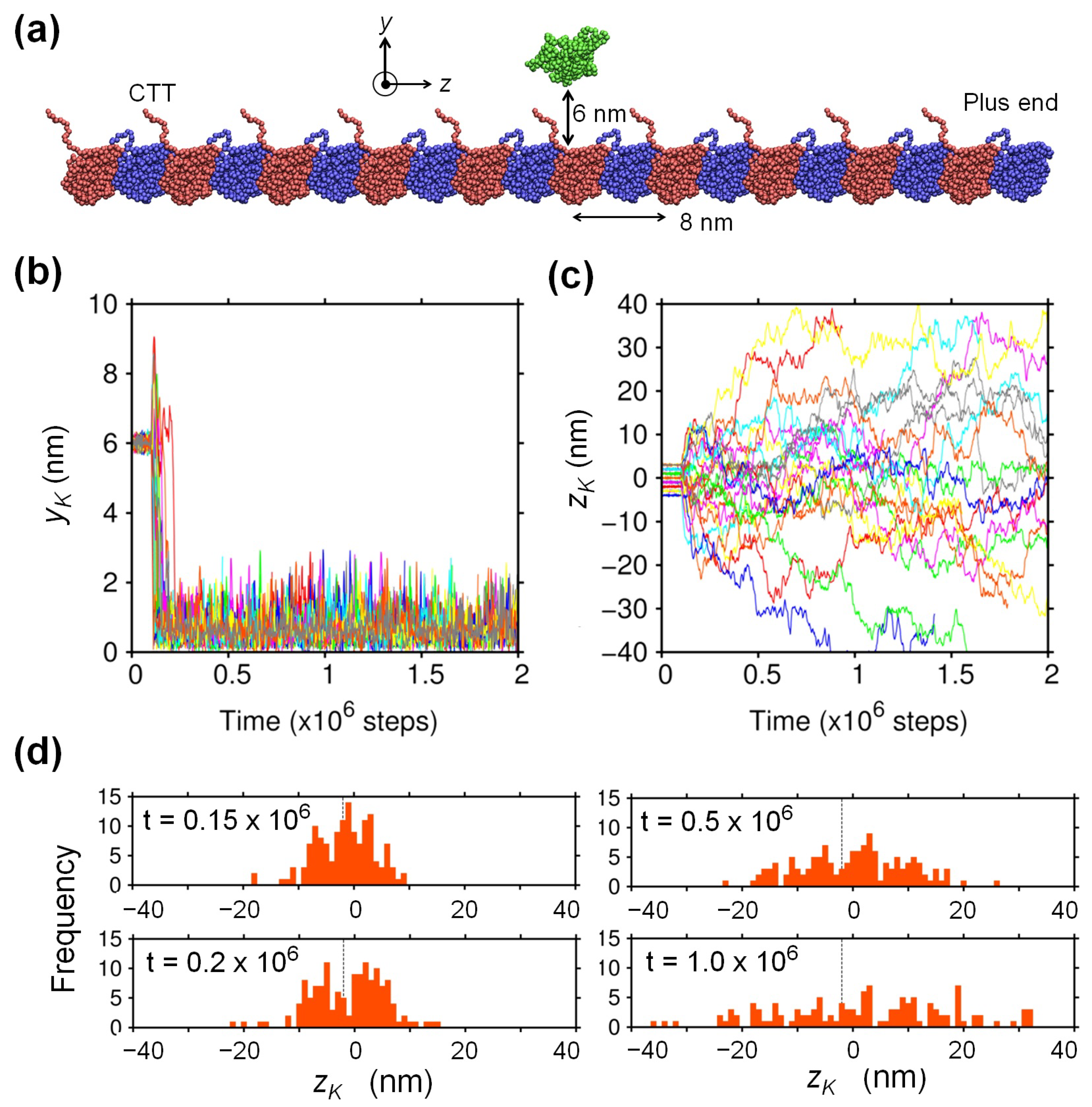 Ijms 22 01547 g001