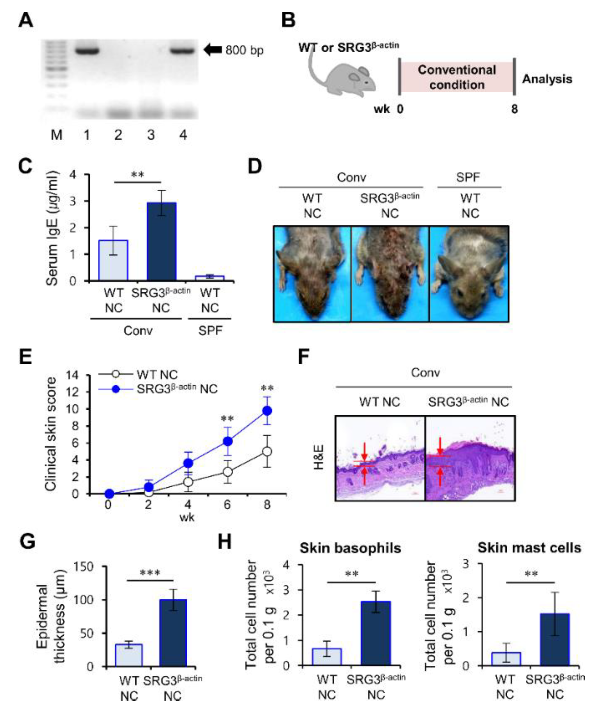Ijms 22 01553 g001 Ijms 22 01553 g001