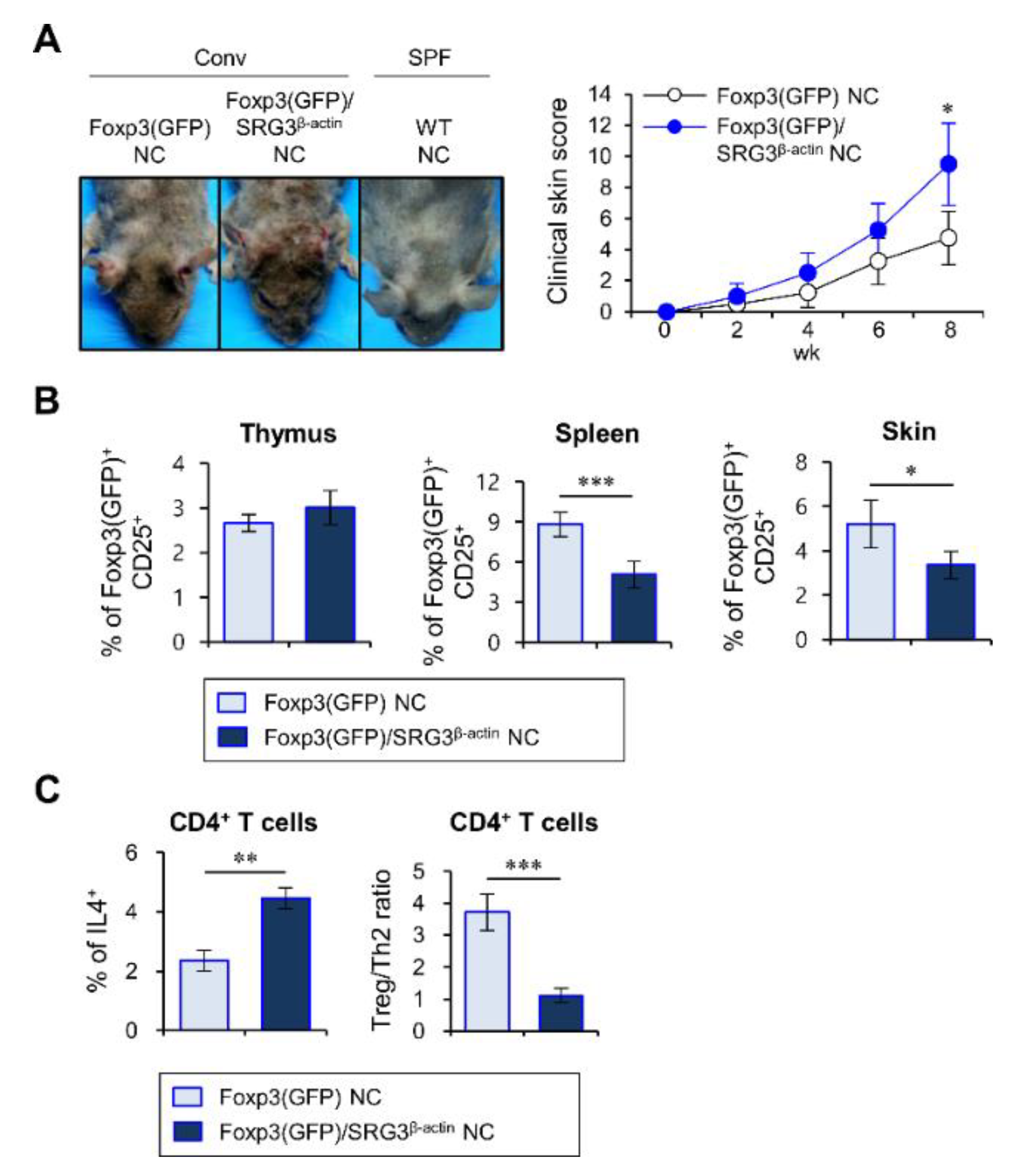 Ijms 22 01553 g004 Ijms 22 01553 g004