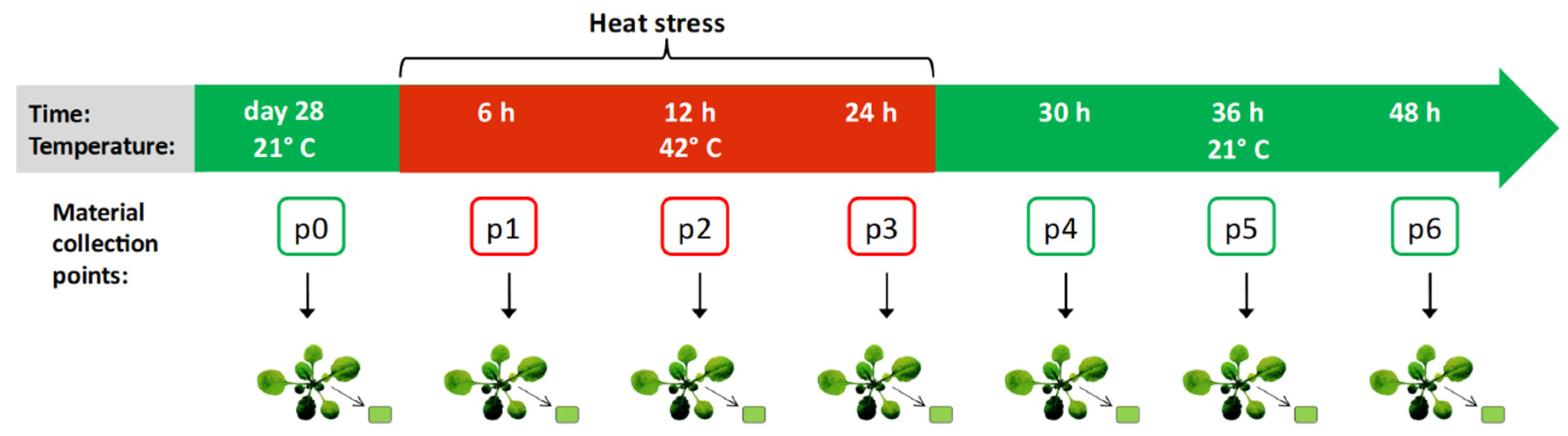 Ijms 22 01555 g001 Ijms 22 01555 g001
