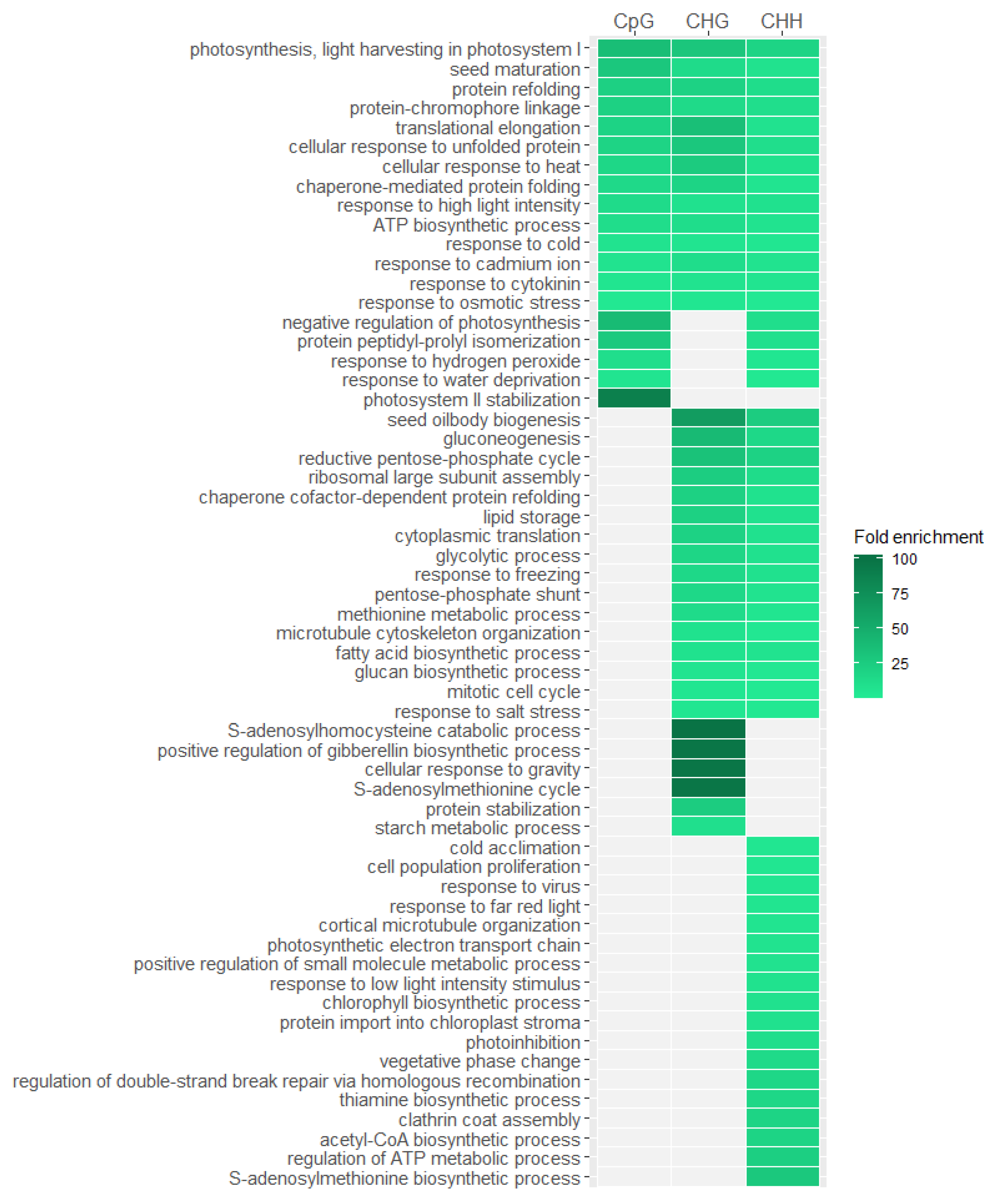 Ijms 22 01555 g006 Ijms 22 01555 g006