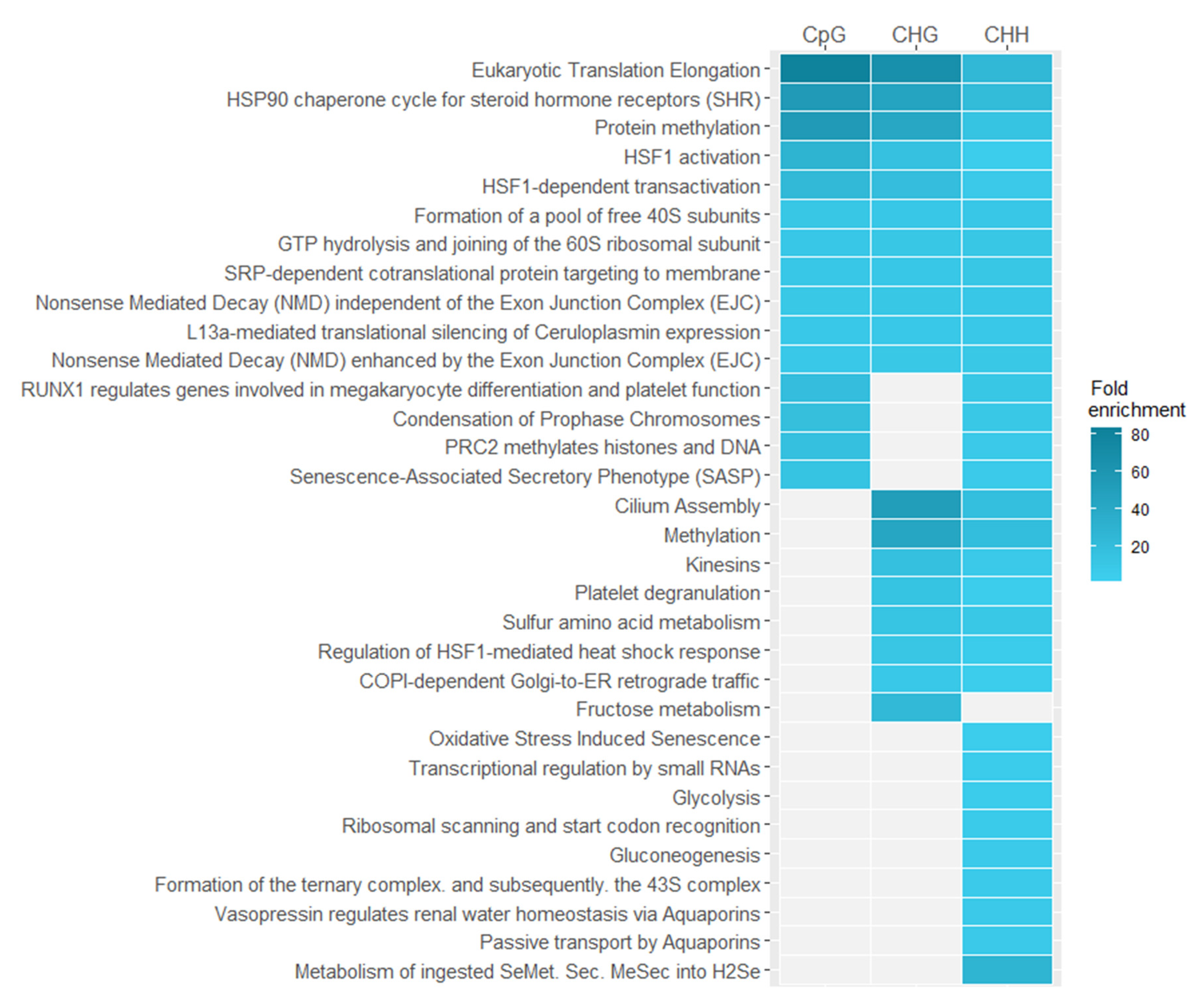Ijms 22 01555 g007 Ijms 22 01555 g007
