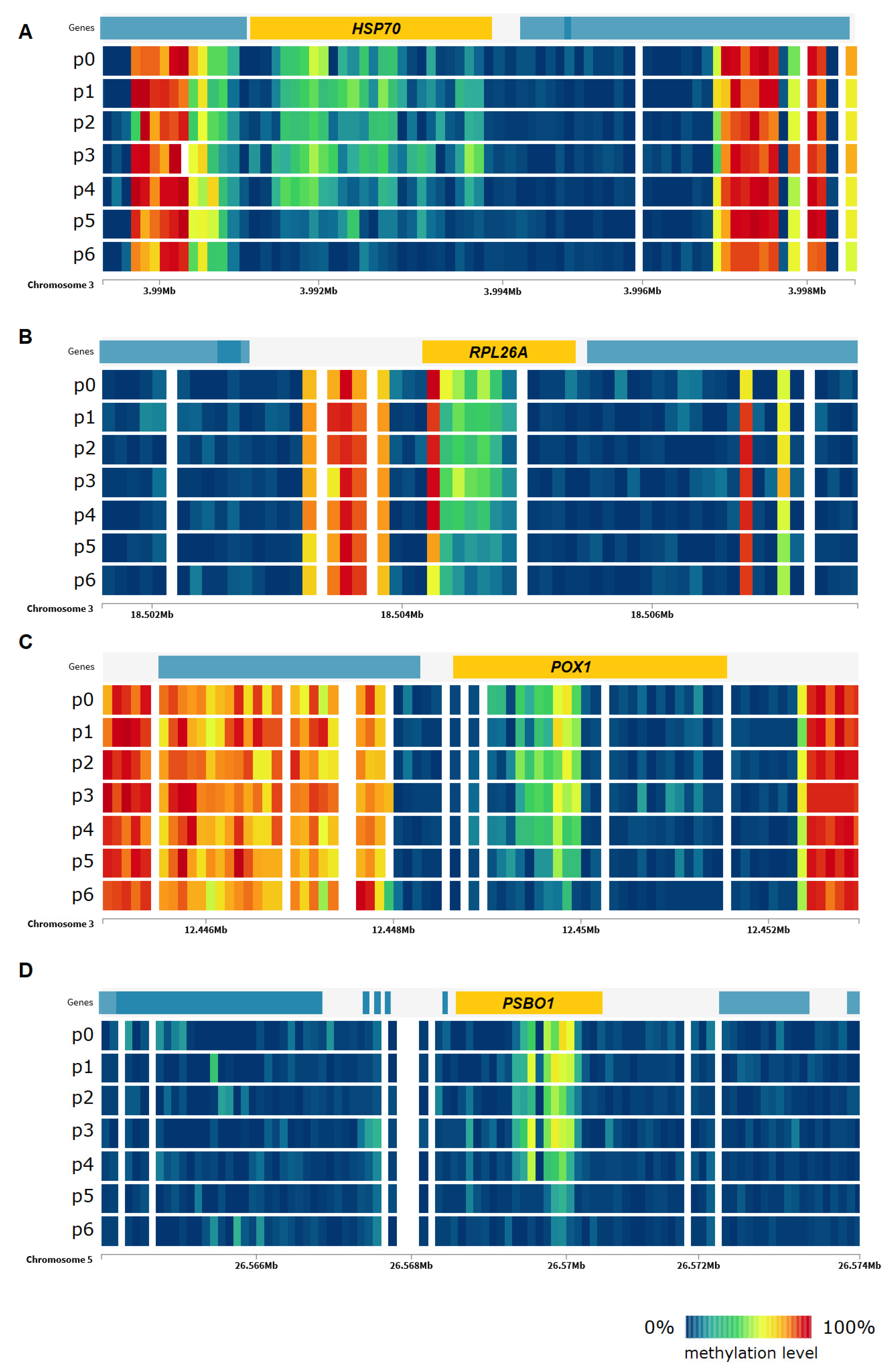 Ijms 22 01555 g009 Ijms 22 01555 g009