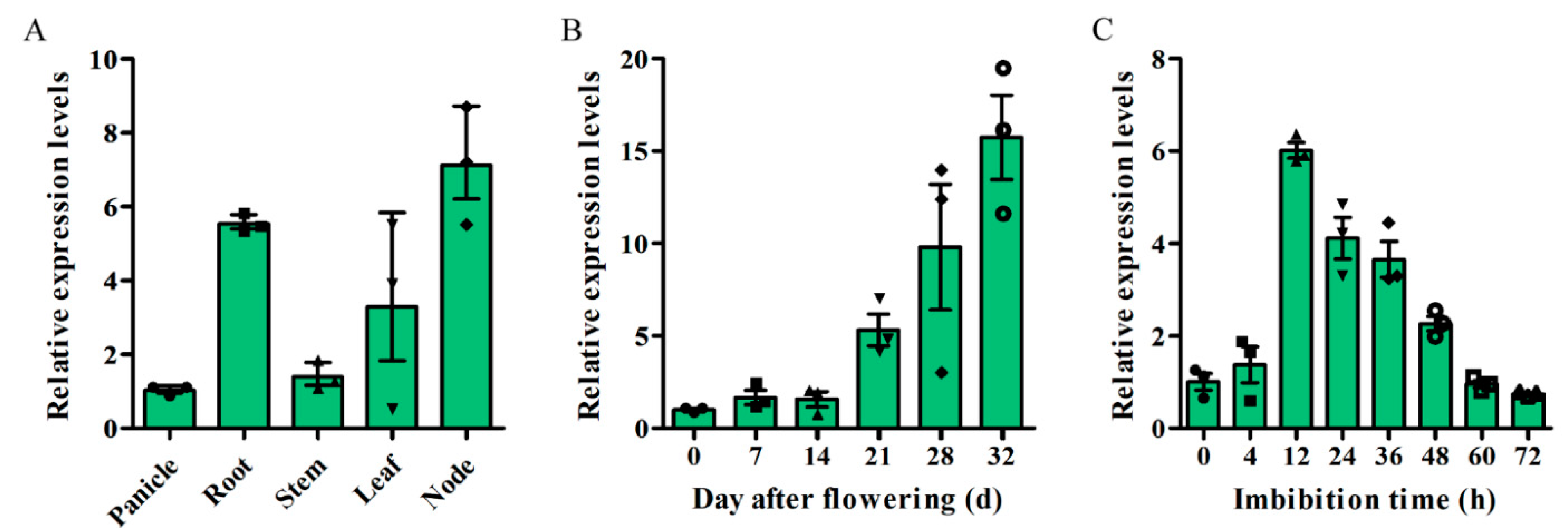 Ijms 22 01562 g002 Ijms 22 01562 g002