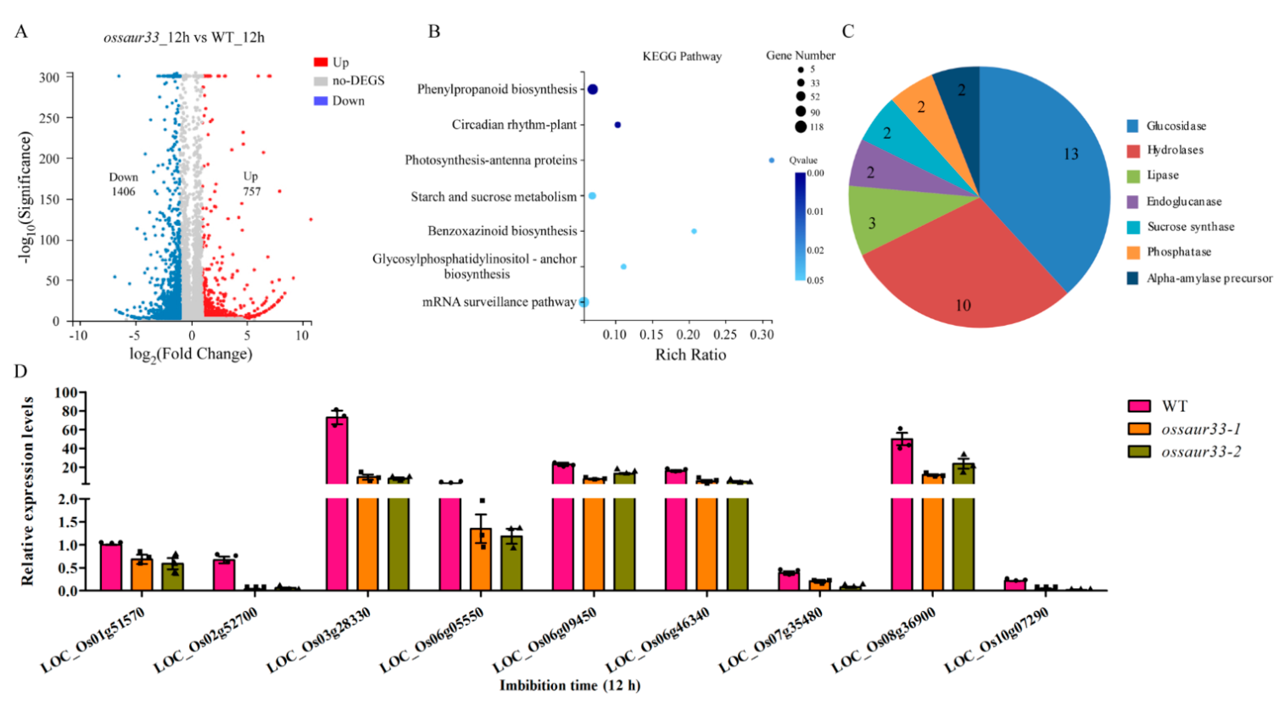 Ijms 22 01562 g004 Ijms 22 01562 g004