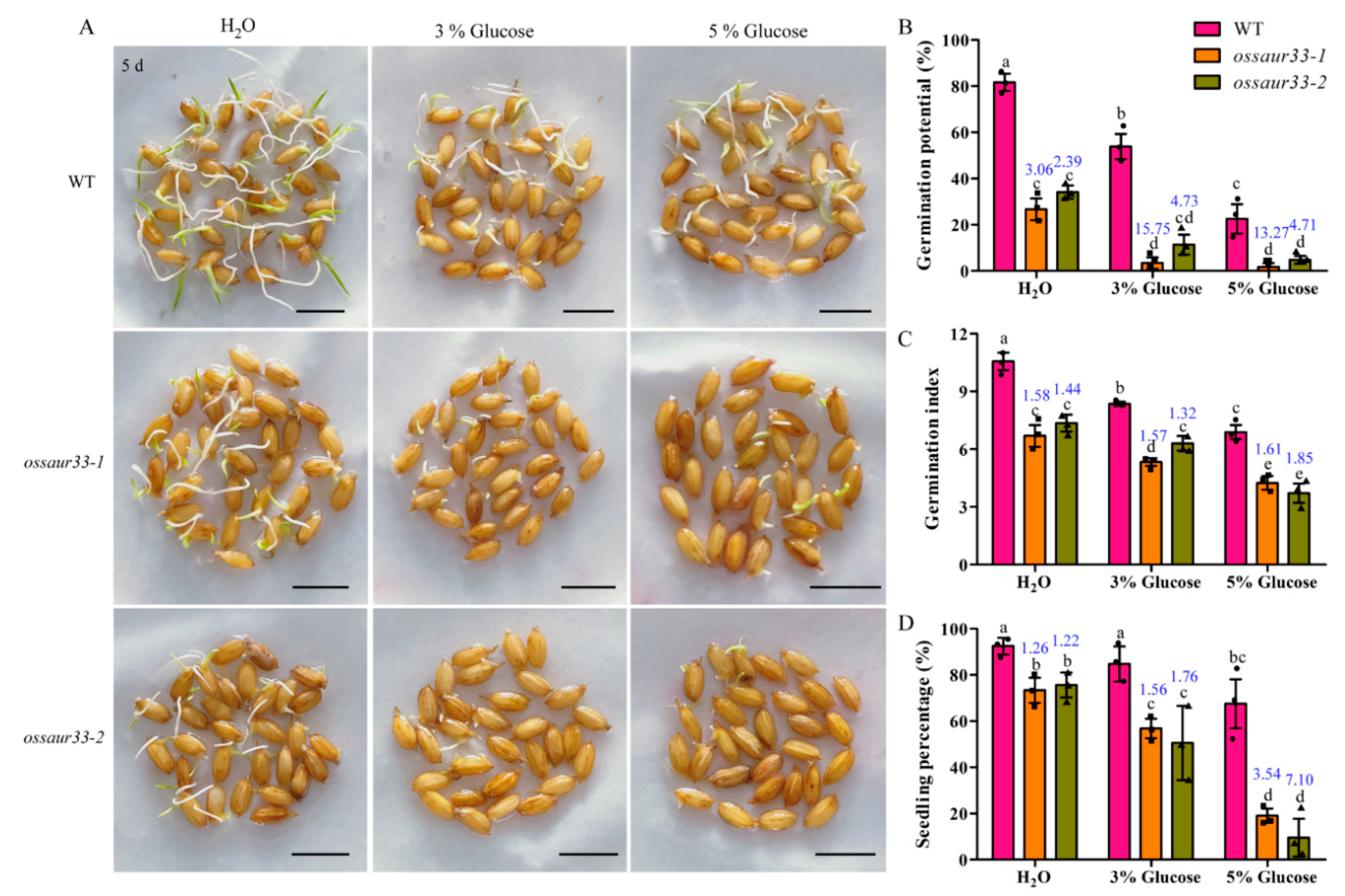 Ijms 22 01562 g007 Ijms 22 01562 g007