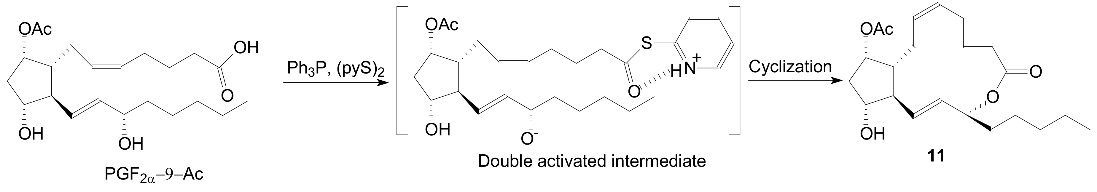 Ijms 22 01572 sch001
