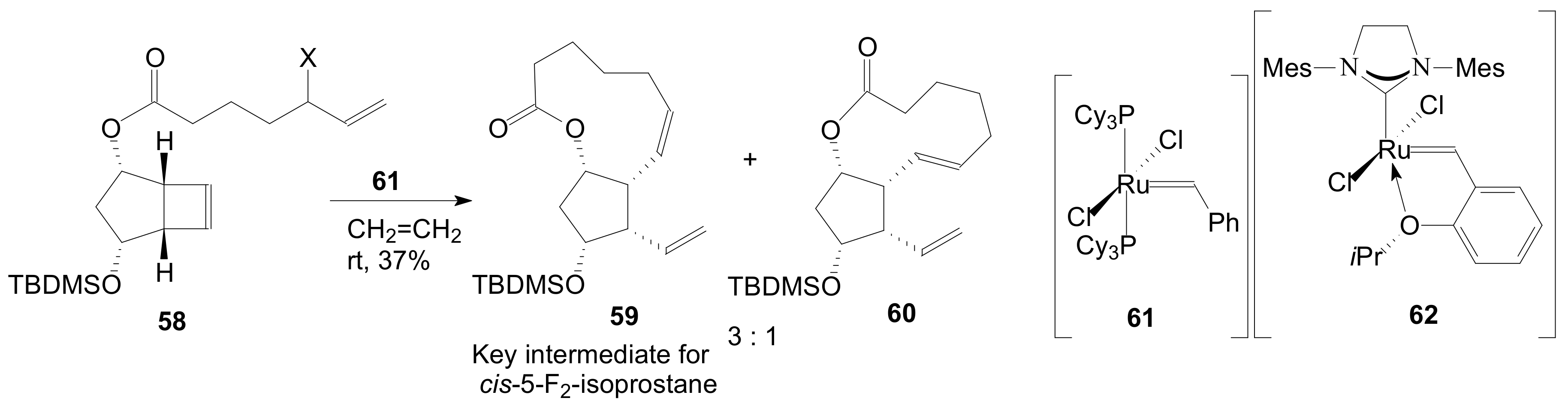 Ijms 22 01572 sch011