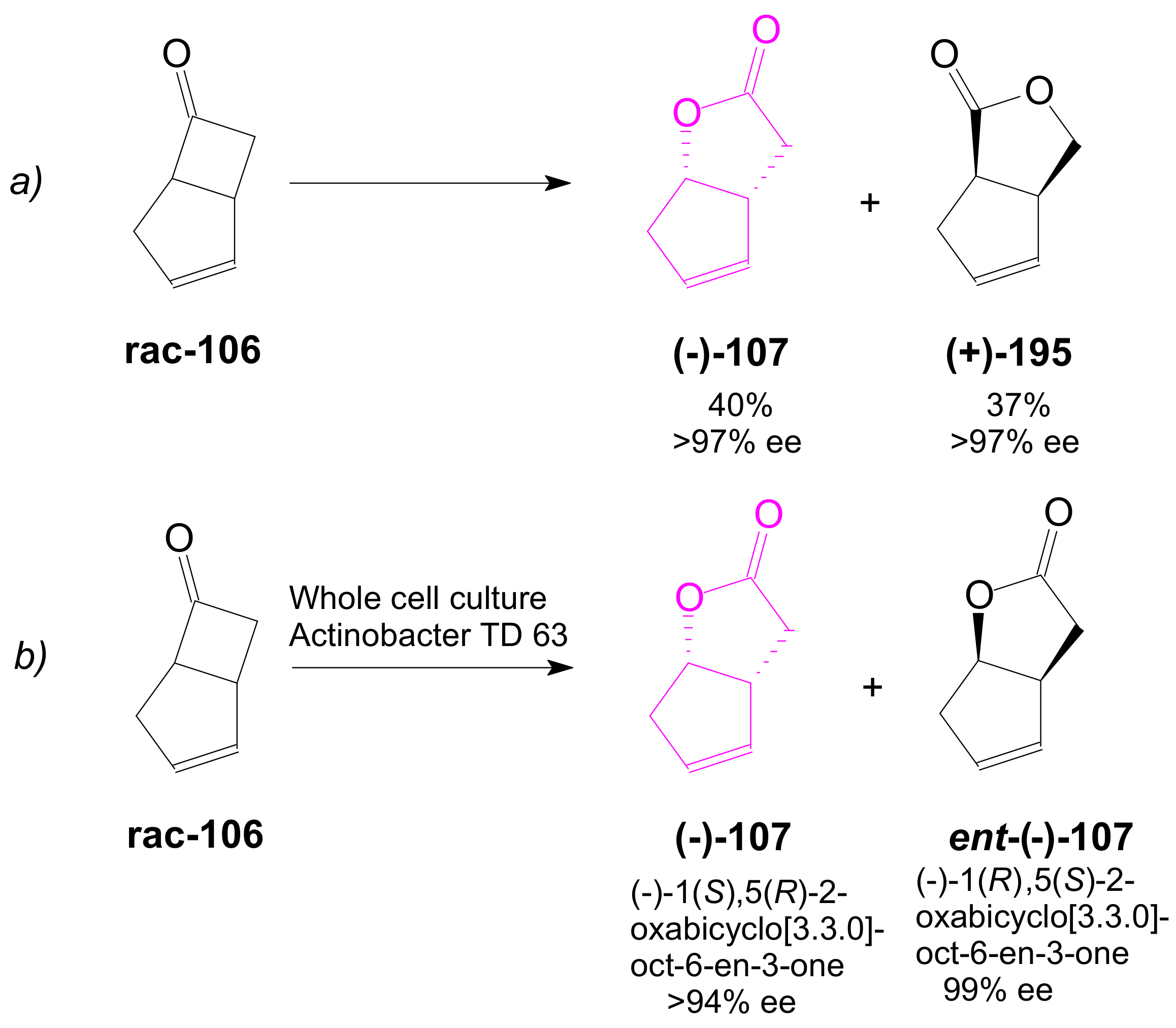 Ijms 22 01572 sch044