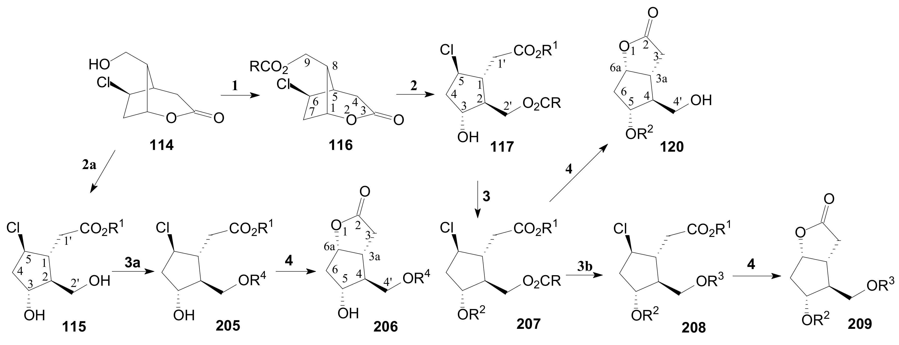 Ijms 22 01572 sch049