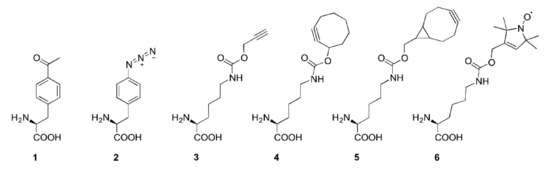 IJMS | Special Issue : Expanding and Reprogramming the Genetic Code